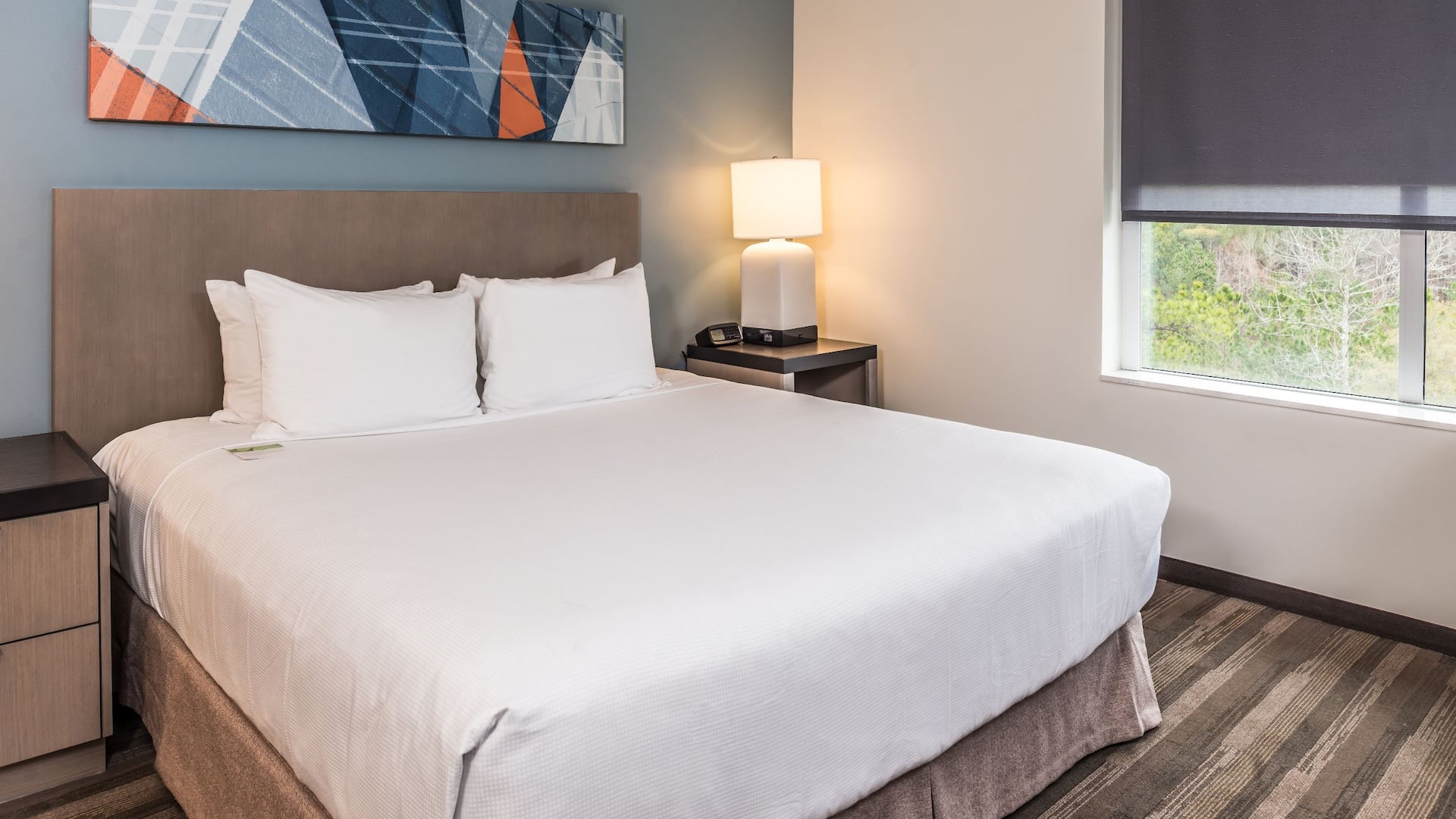 Hyatt House Raleigh / RDU / Brier Creek King Room