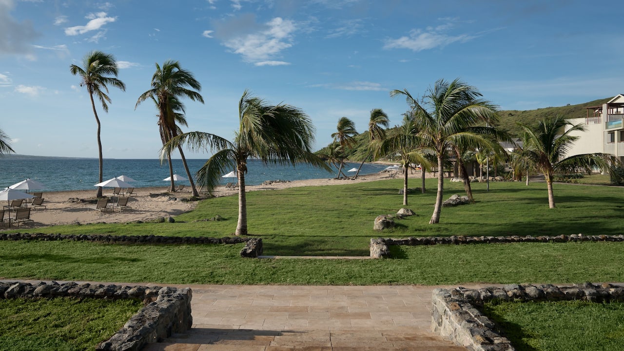 Beachfront Lawn