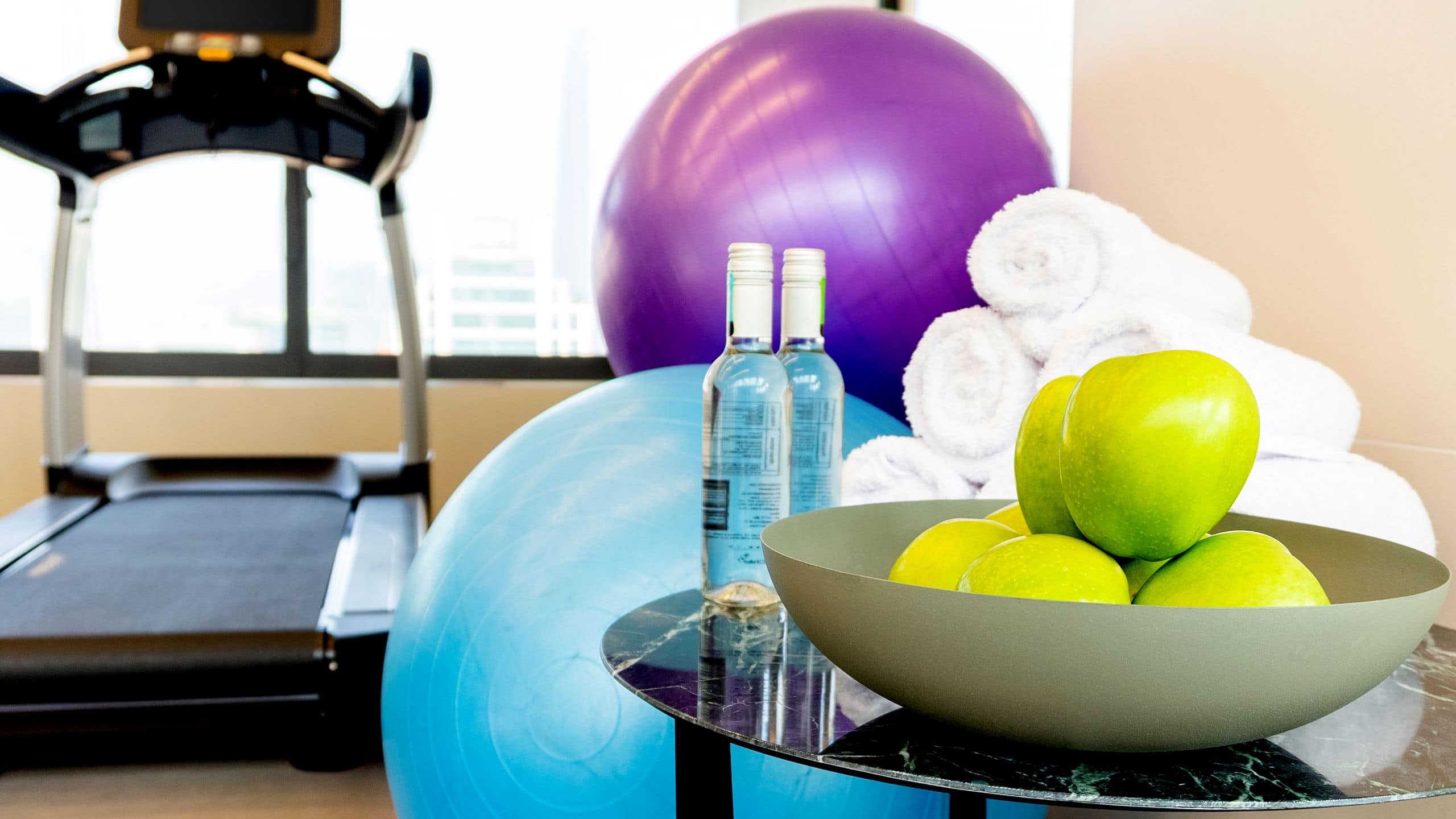 Hyatt Centric Las Condes Santiago Fitness Center Fitness Ball