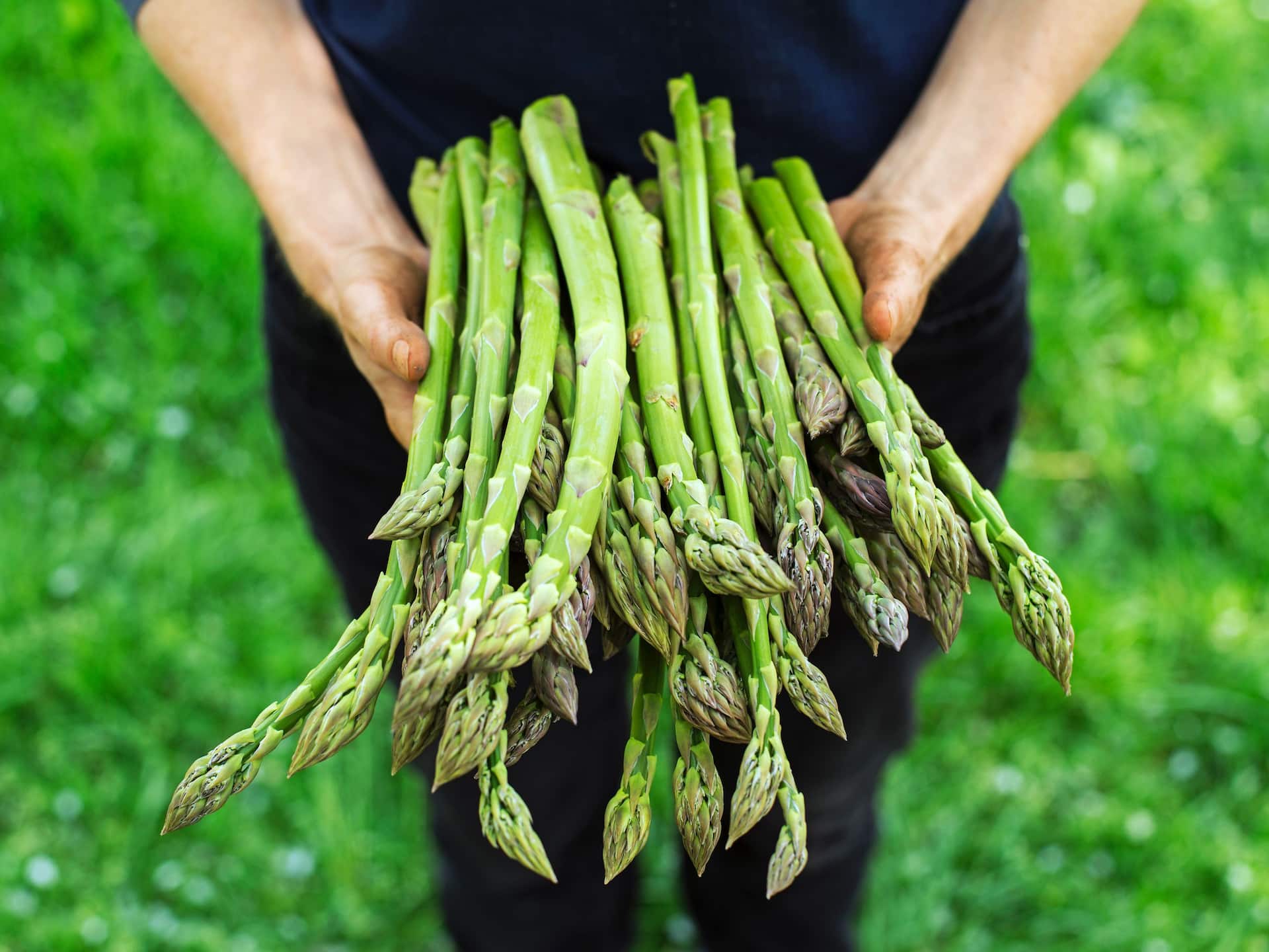 Hyatt Regency London - The Churchill Asparagus