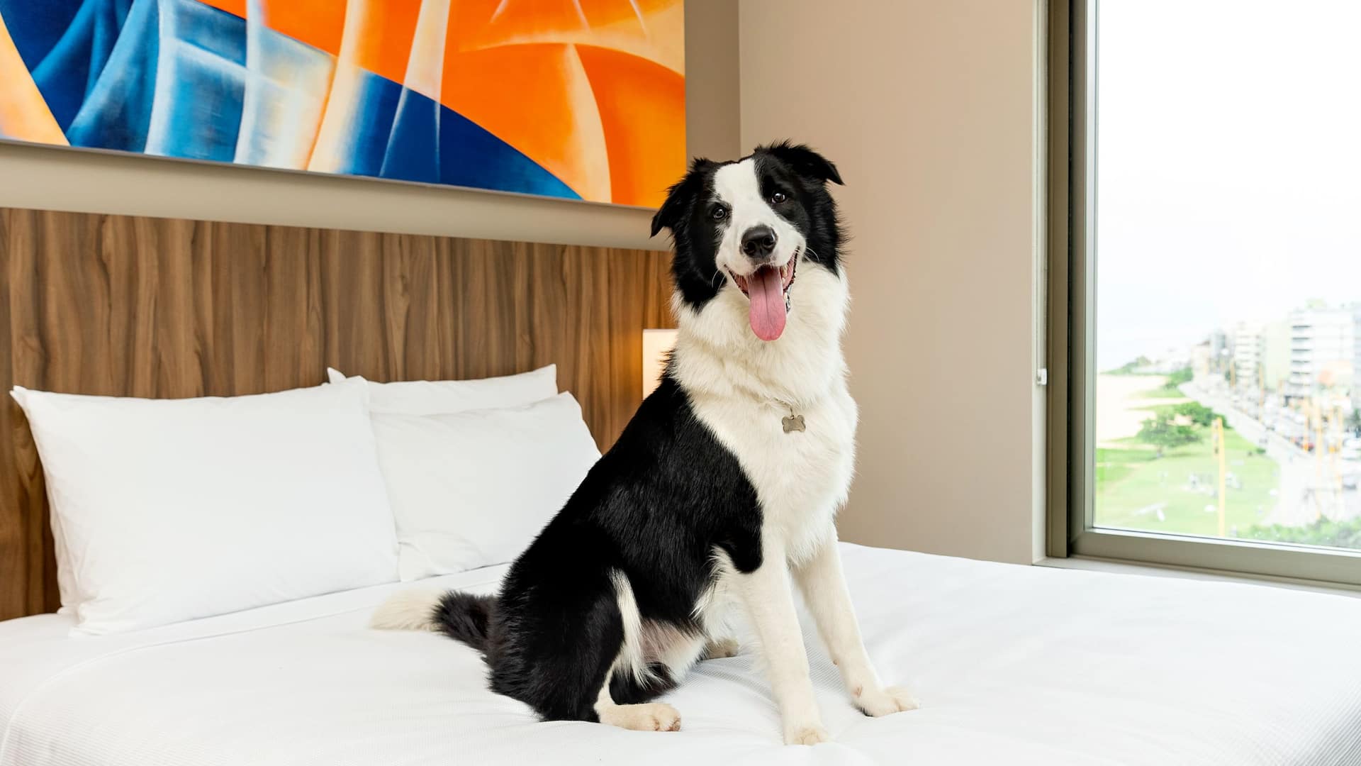 Hyatt Place Macaé Pet Friendly