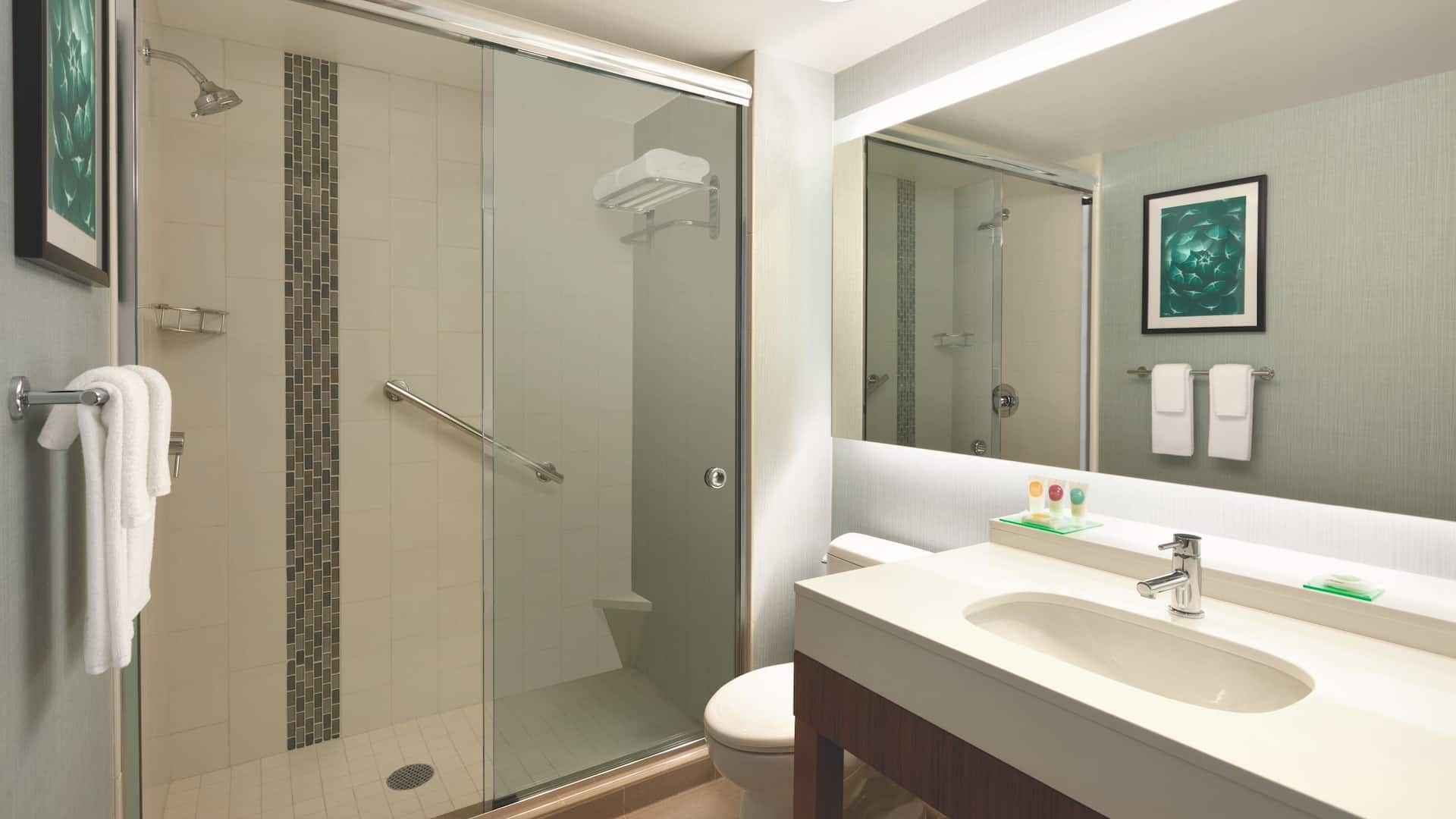 Hyatt Place Page / Lake Powell One King Bathroom