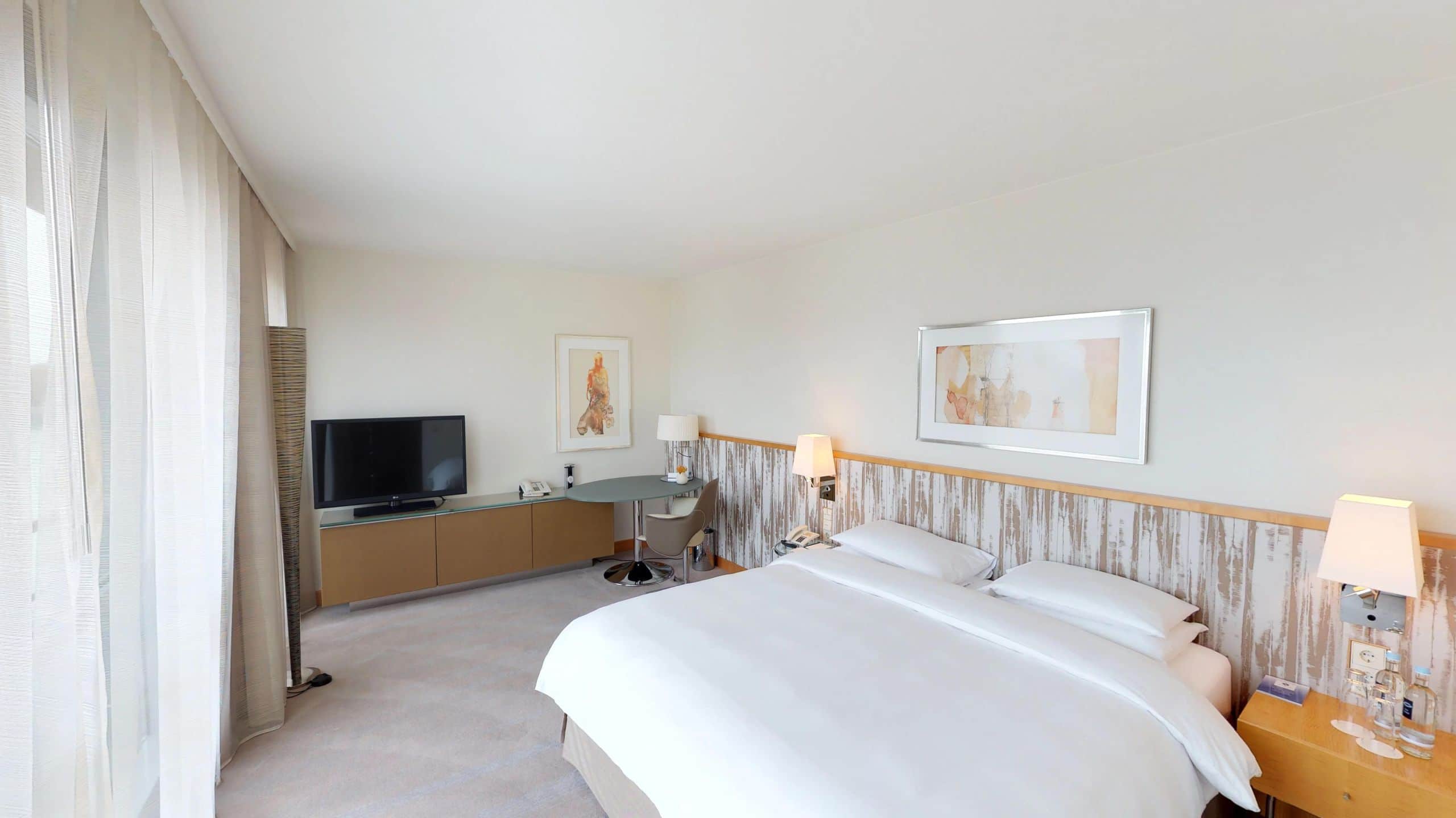 Hyatt Regency Mainz Standard King