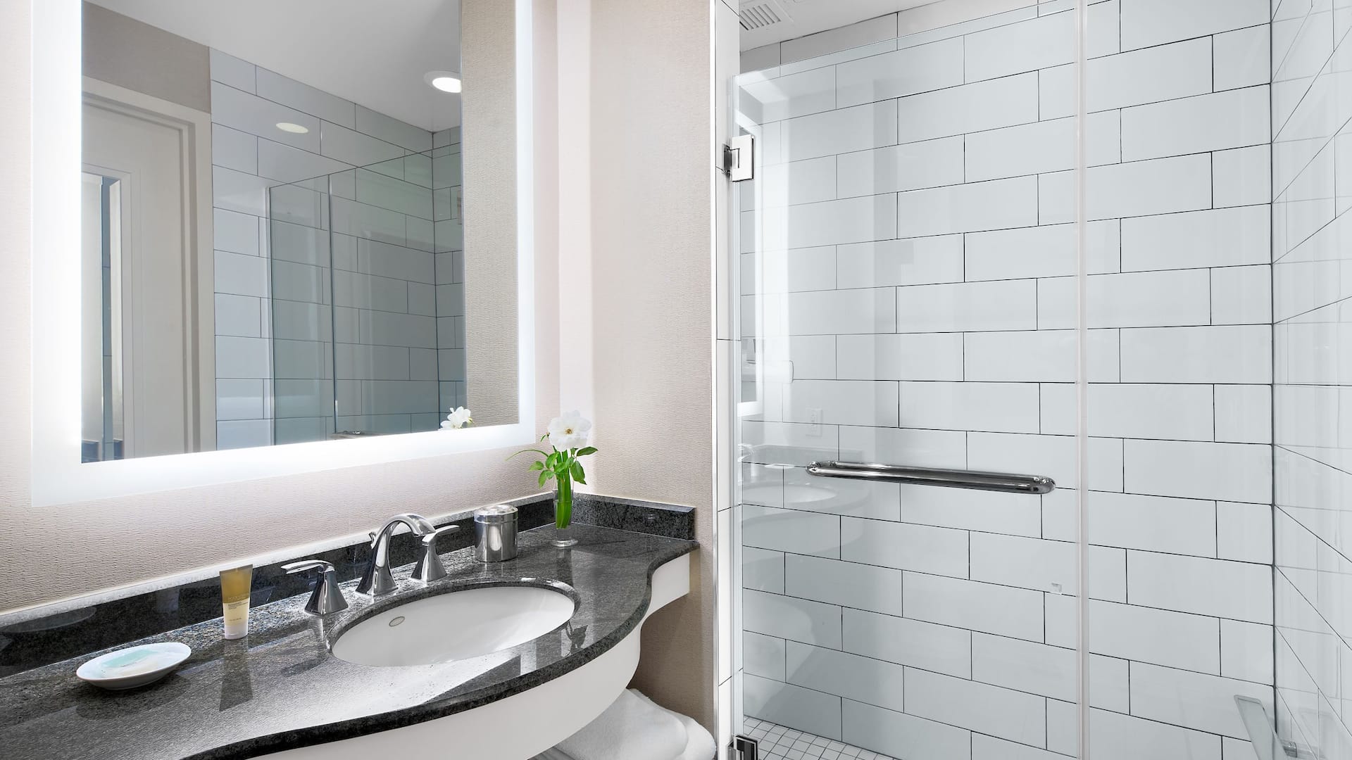 8 de 8 Hyatt Regency Valencia Standard Shower
