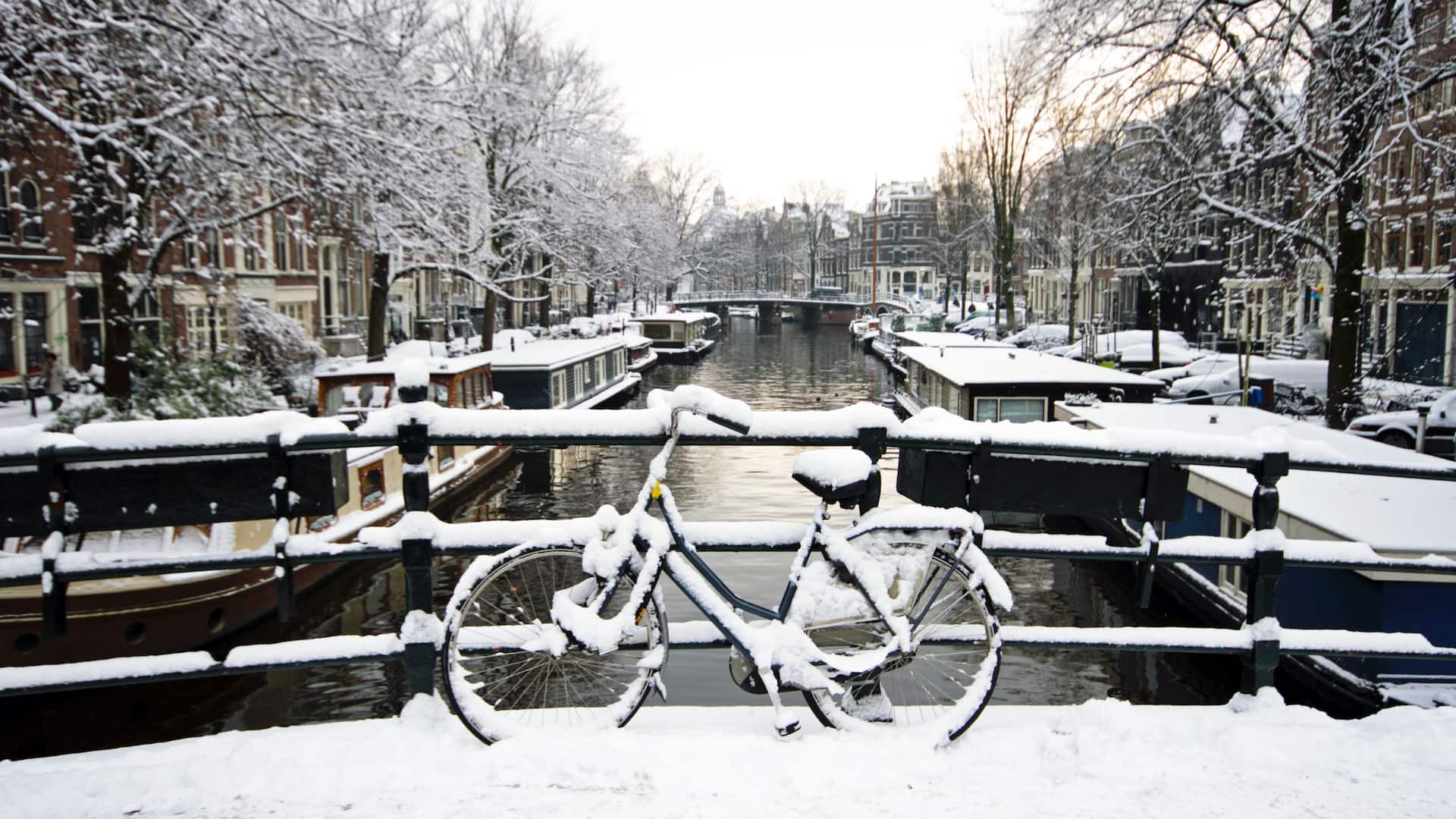 Hyatt Regency Amsterdam Amsterdam Bicycle