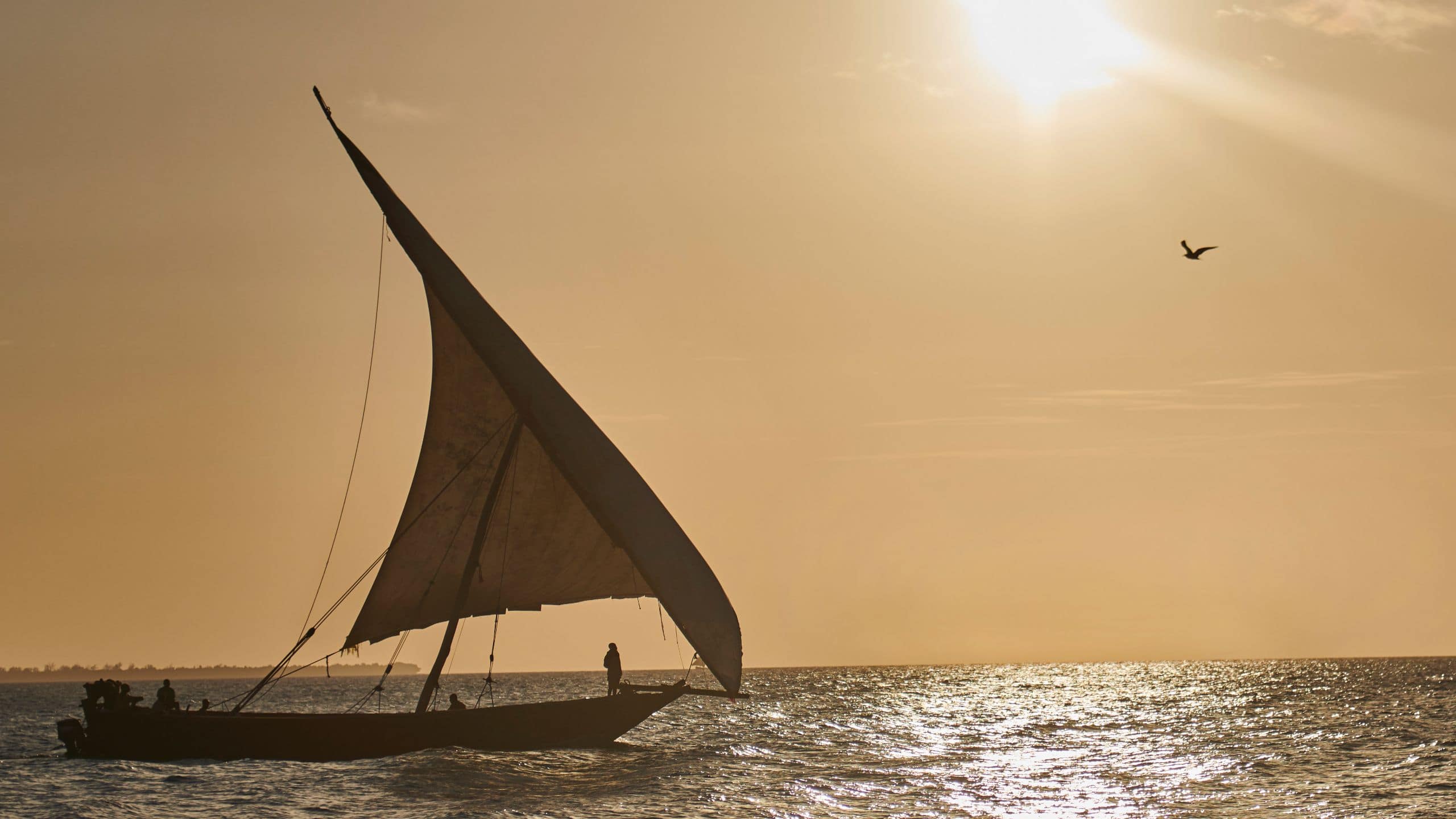 Park Hyatt Zanzibar Dhow At Sunset