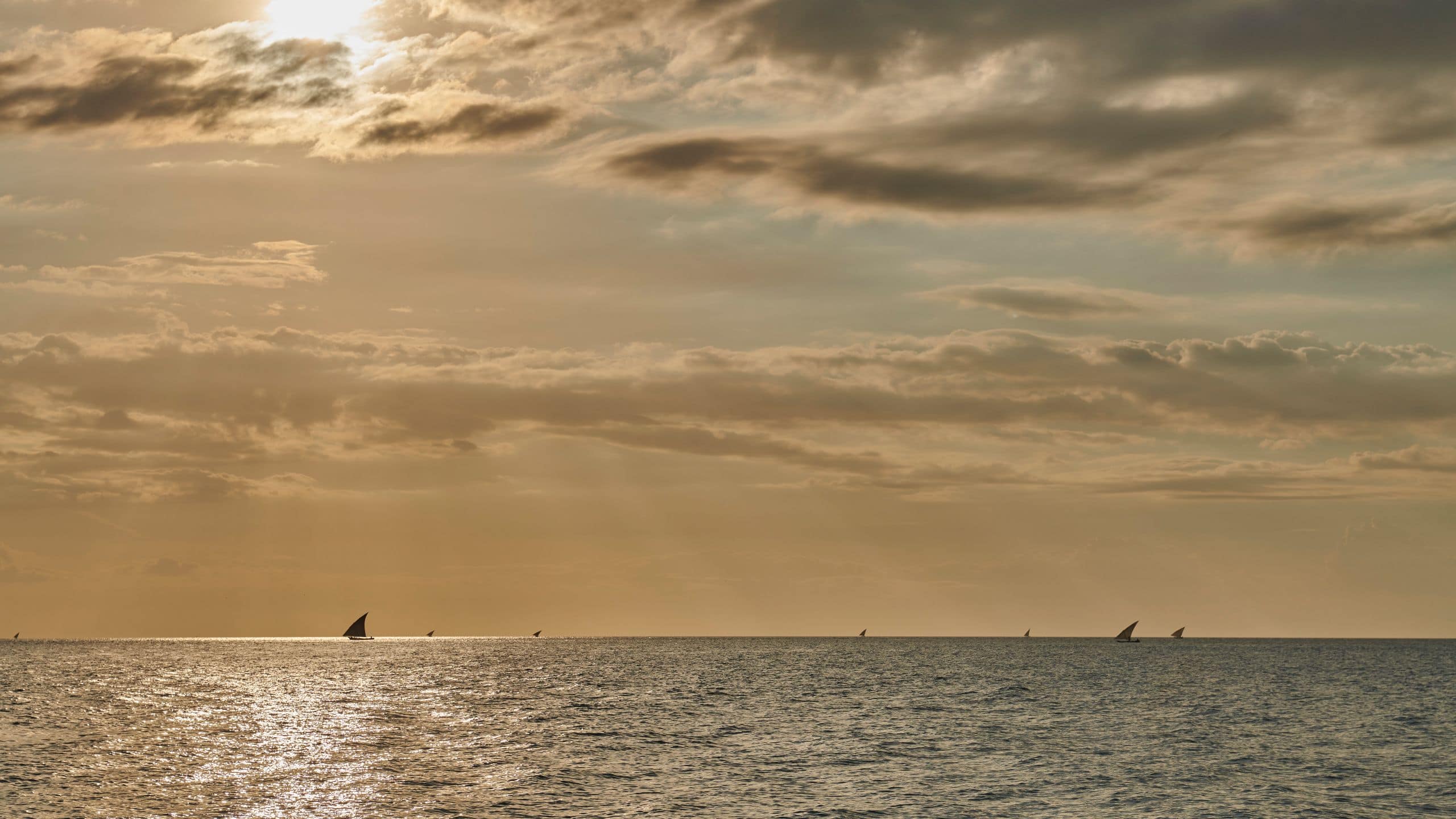 Park Hyatt Zanzibar Dhows