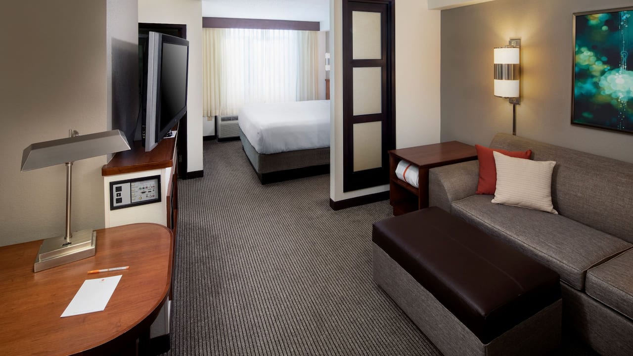 Modern king guestroom with sleeper sofa at the Hyatt Place Roanoke Airport/Valley View Mall 