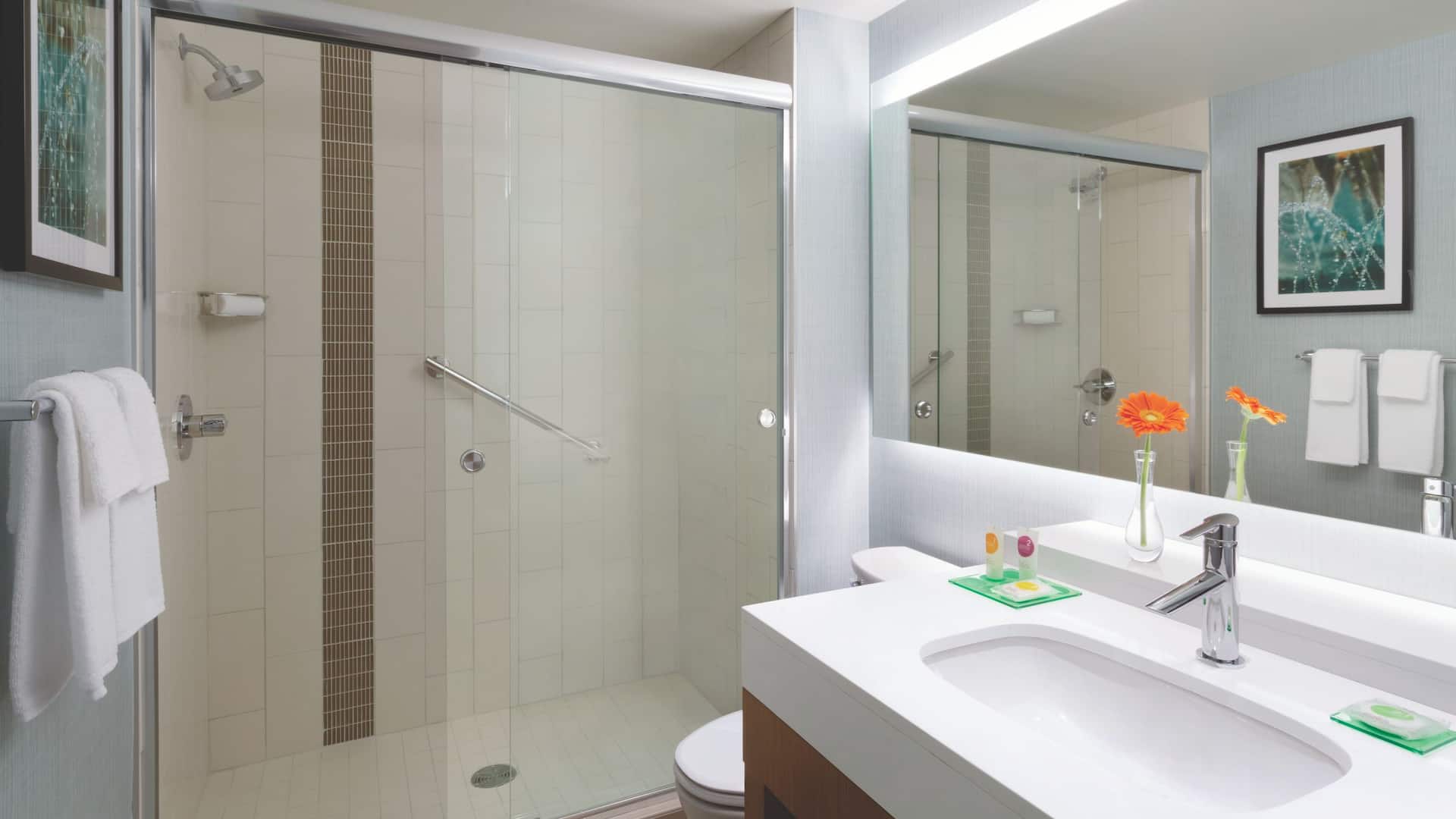 2/2 Hyatt Place Niagara Falls Double Bathroom