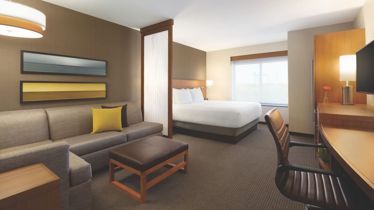 king bedroom plus sofa bed
