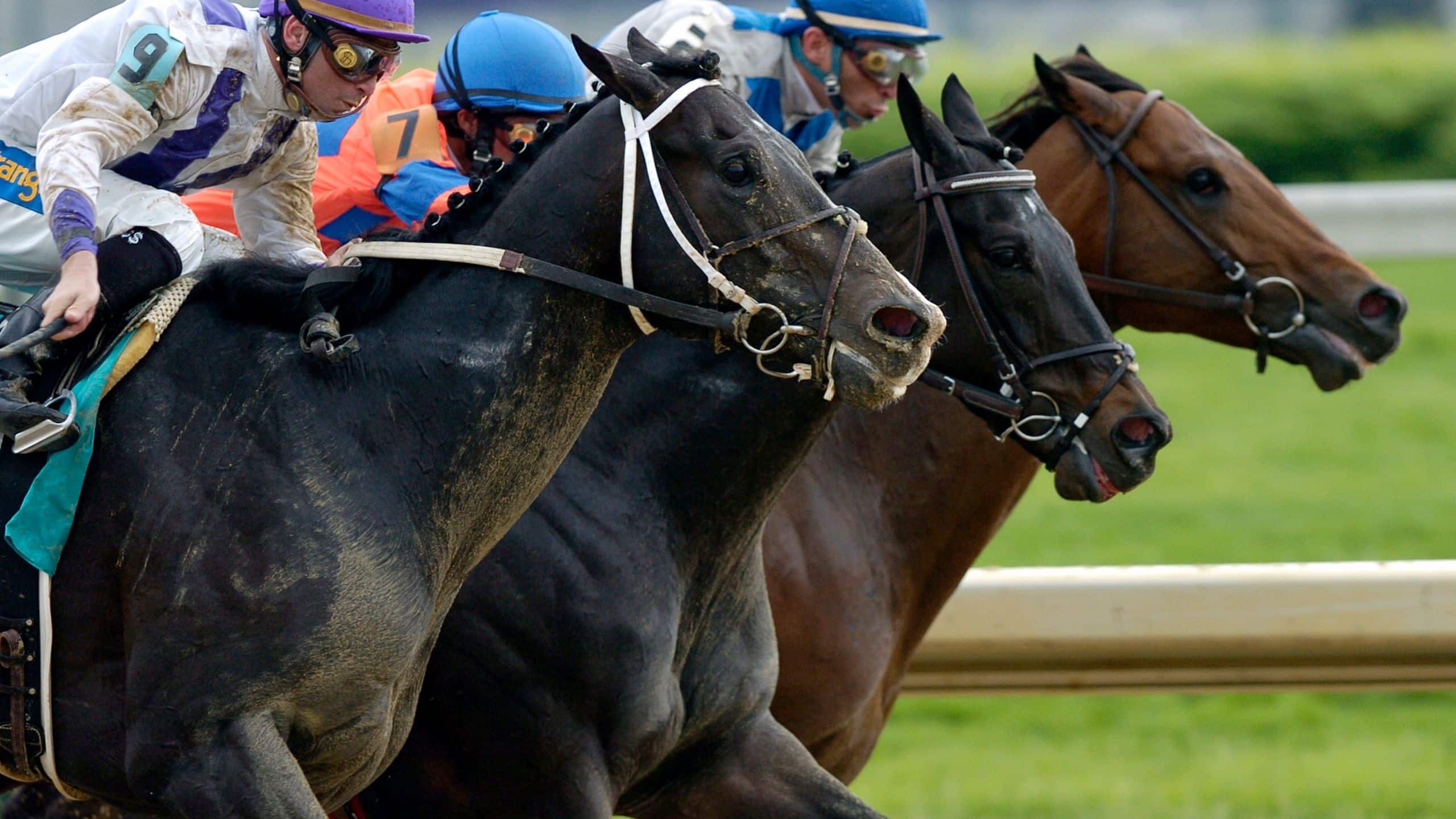 Hyatt Regency Louisville Derby