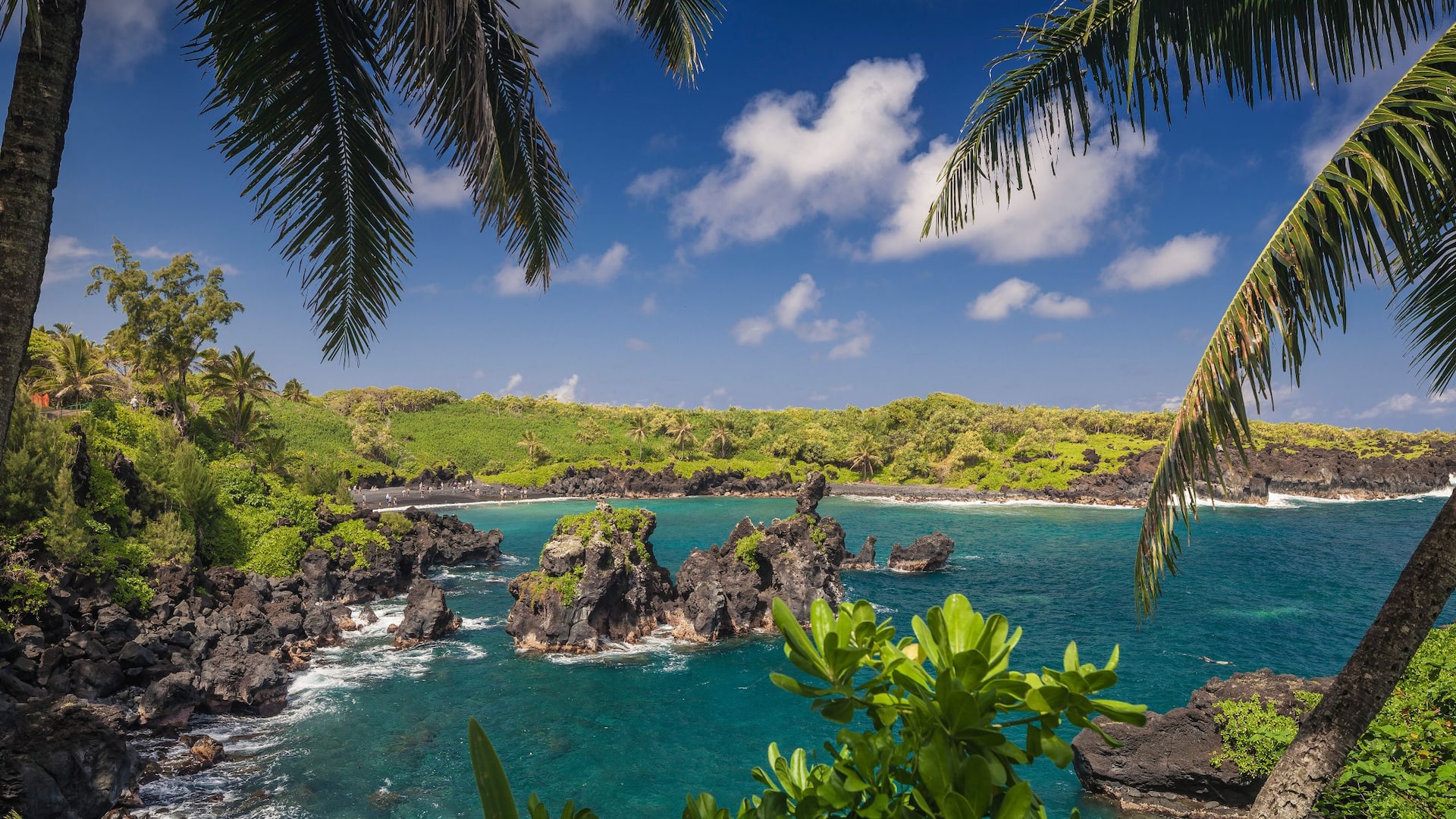 Hyatt Regency Maui Resort and Spa Wainapanapa