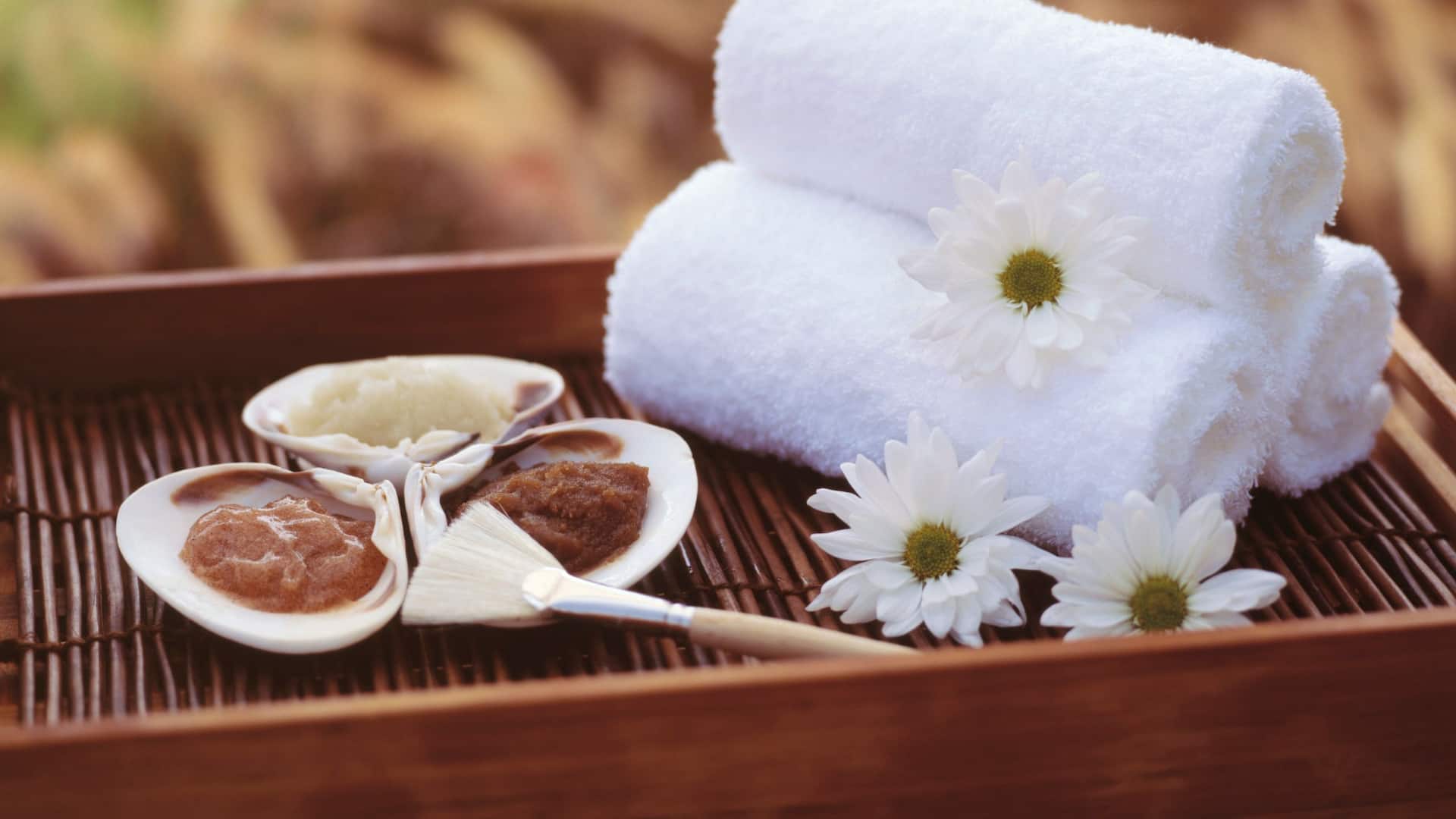 Hyatt Regency Chesapeake Bay Golf Resort, Spa and Marina Spa Detail