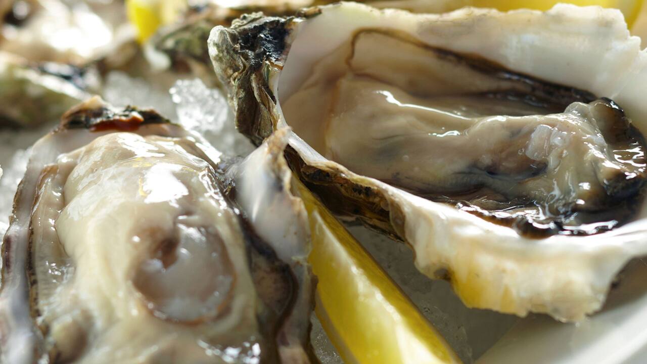 News + Events Hyatt Regency Amsterdam