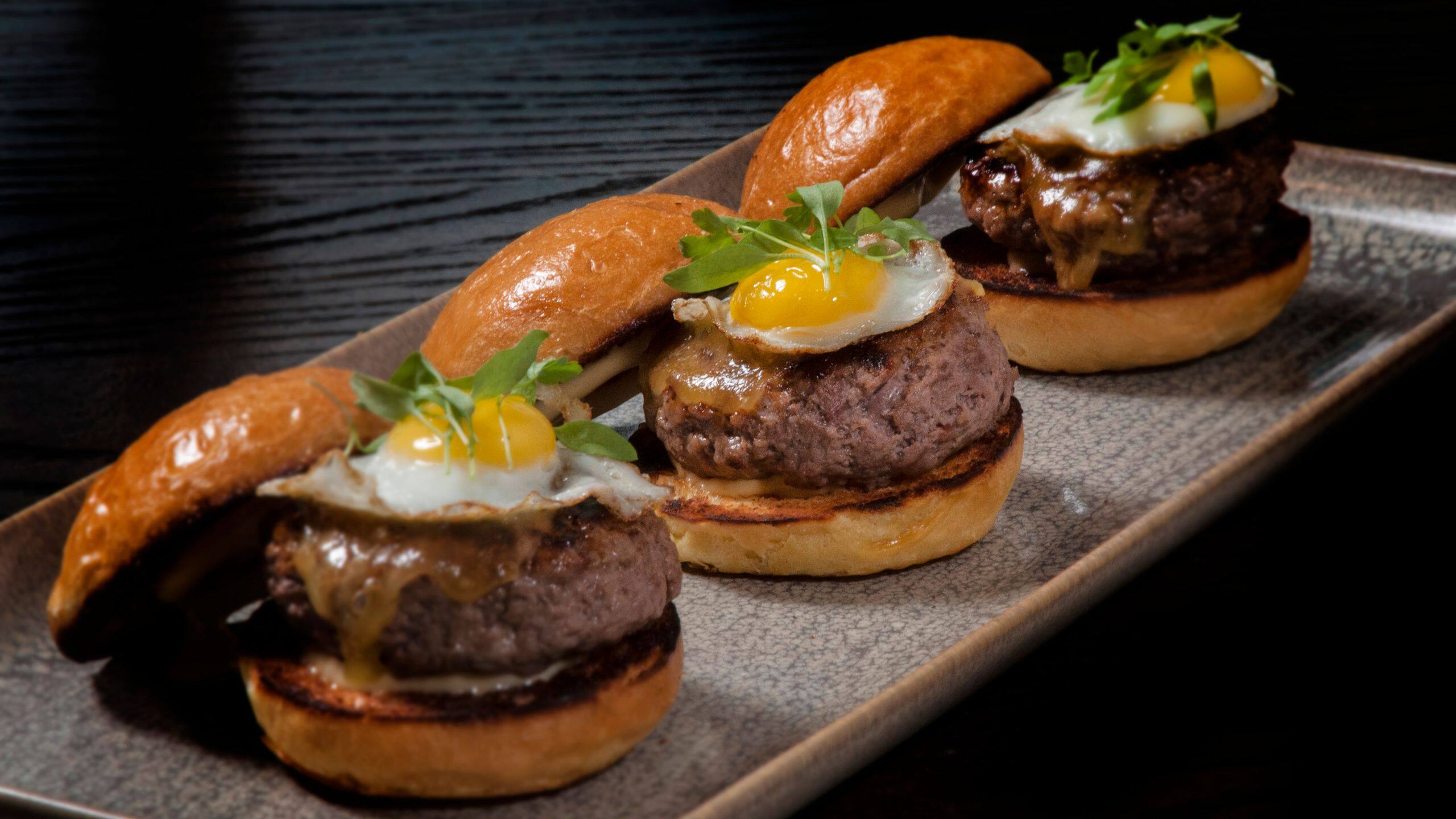 Hyatt Regency Reston Sliders