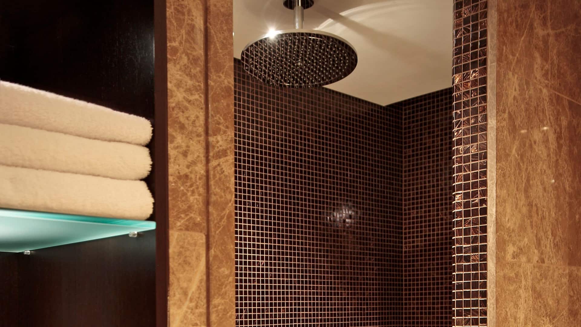 第 6，共 6 Hyatt Regency Kyiv Executive Suite Bathroom