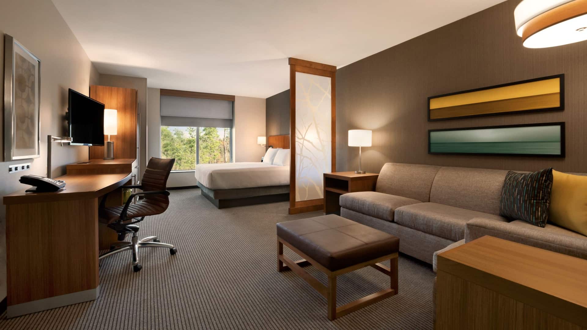 Hyatt Place Houston/The Woodlands Standard King Room