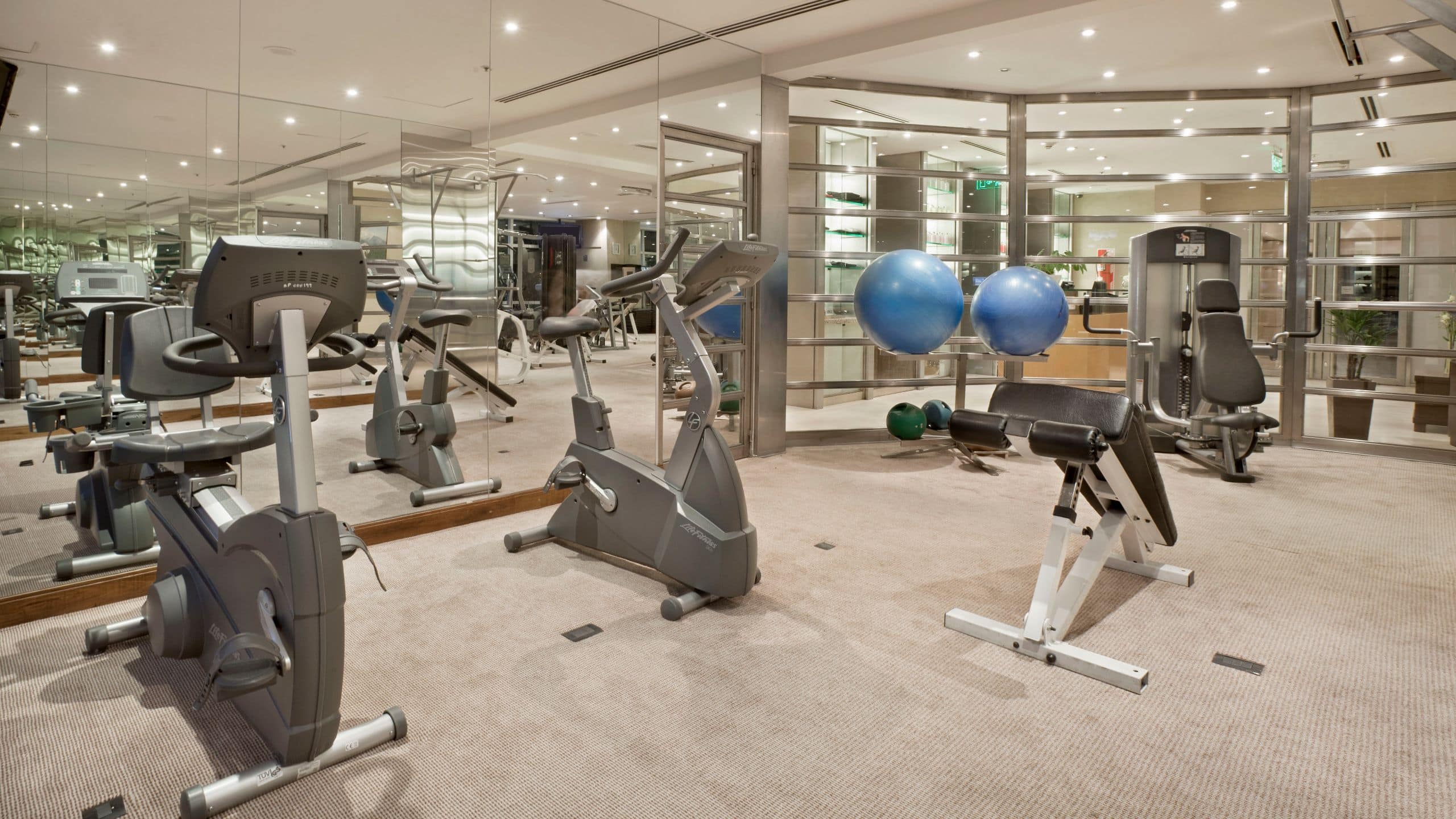 Park Hyatt Mendoza Gym