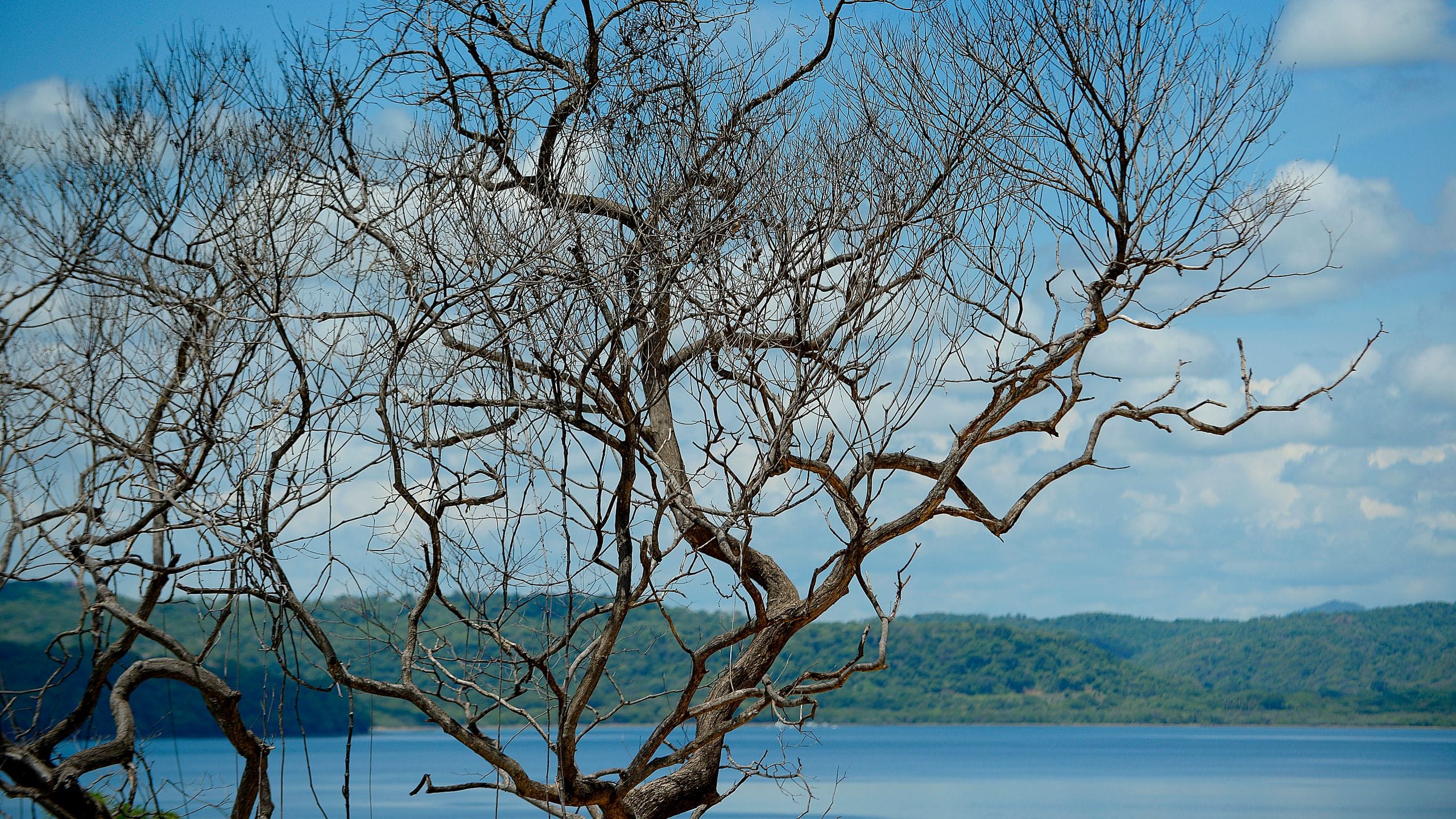 Andaz Costa Rica Resort at Peninsula Papagayo Secluded Beach