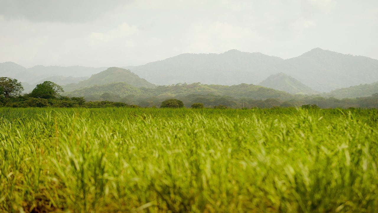 Guanacastecan Pampa