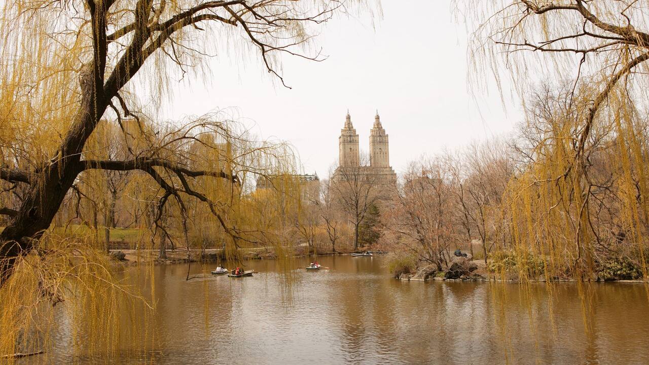 Bethesda Fountain at Central Park