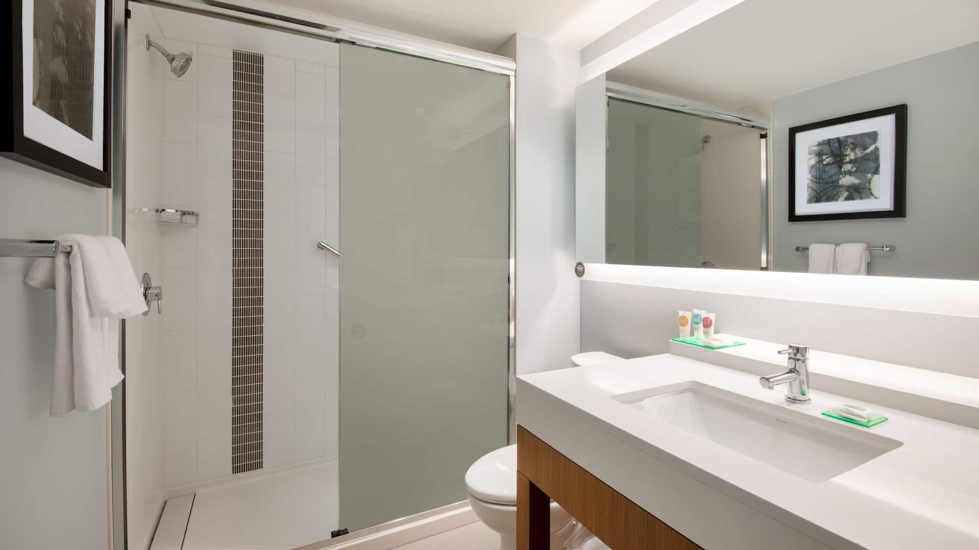 3/3 Hyatt Place Denver / Westminster Standard Bathroom