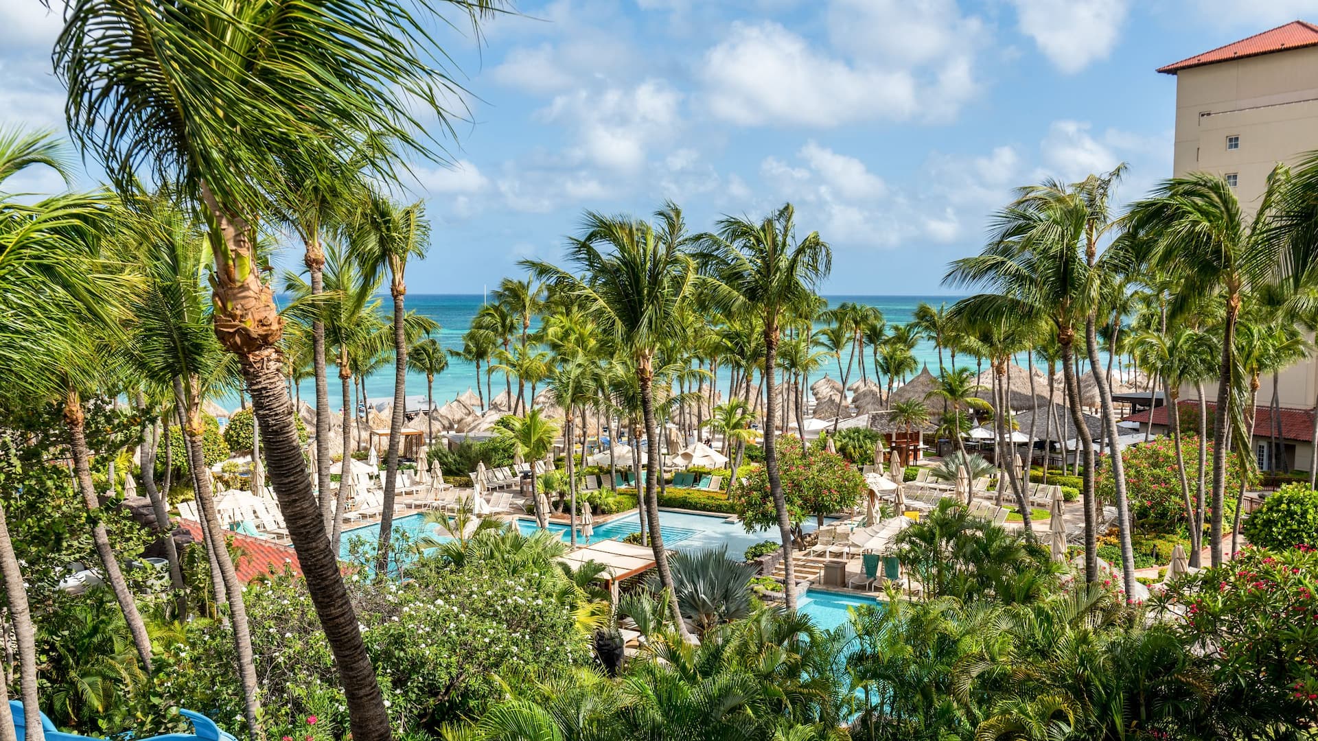 4/4 Hyatt Regency Aruba Resort Spa and Casino View