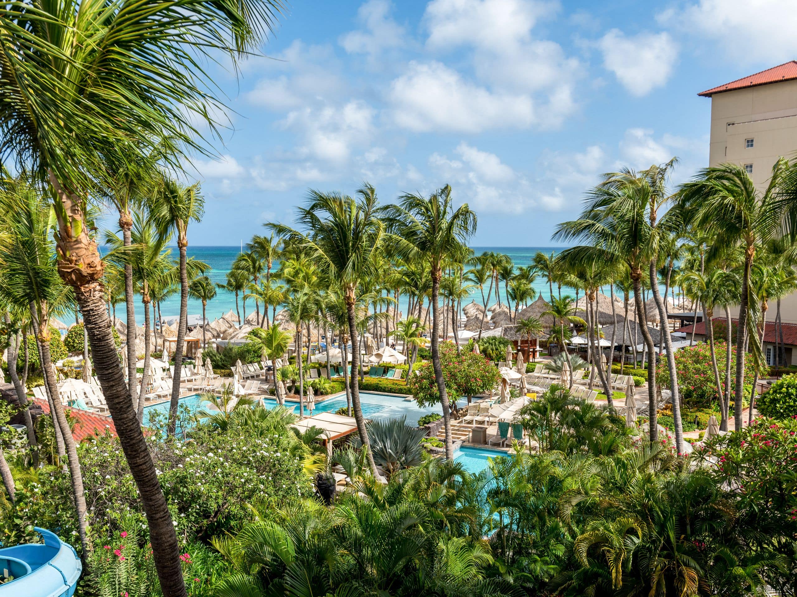 Aruba Hotel Rooms & Suites | Hyatt Regency Aruba Resort Spa & Casino