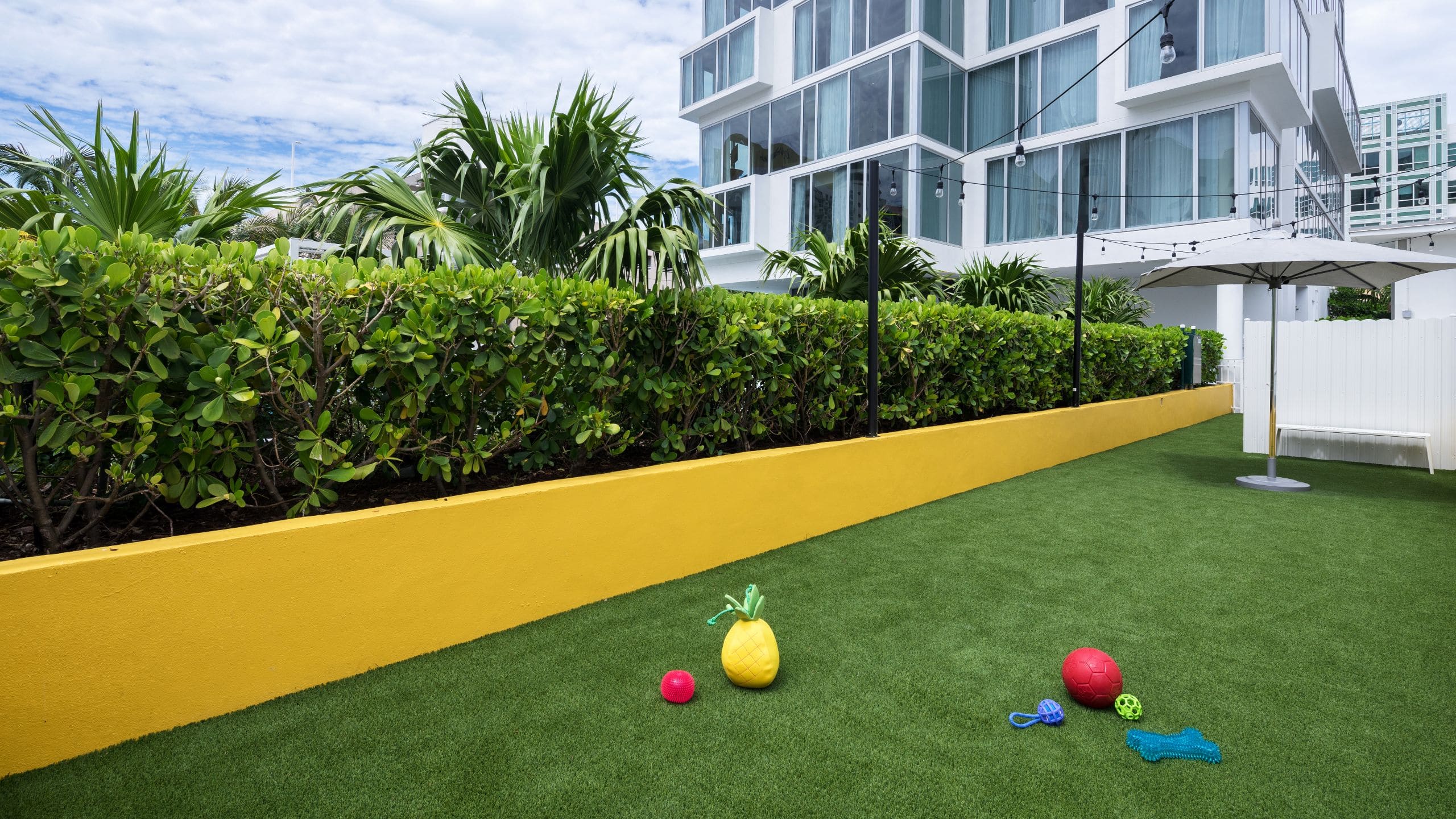 Hyatt Centric South Beach Miami Dog Park