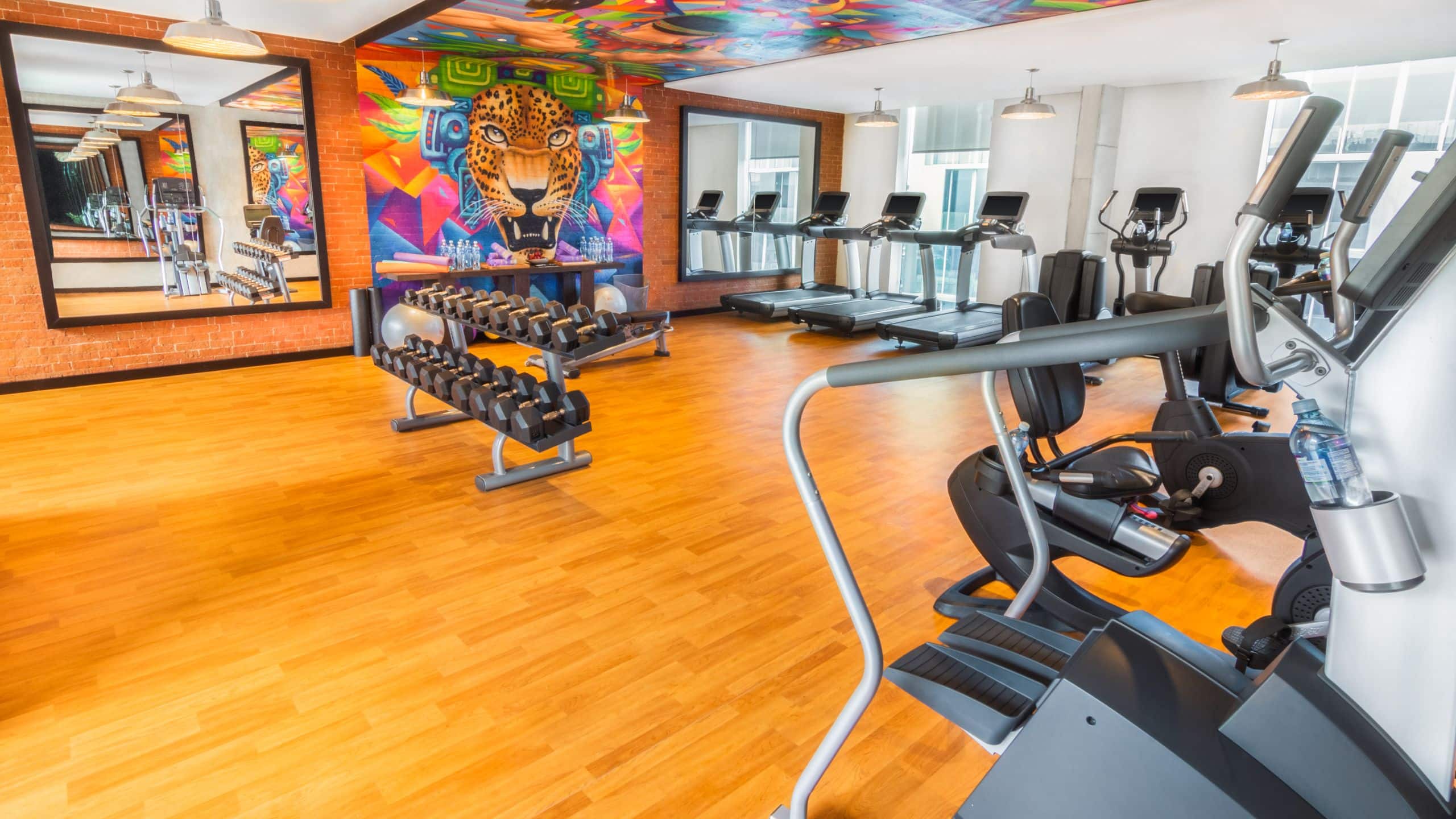 Hyatt Centric Guatemala City Fitness Center
