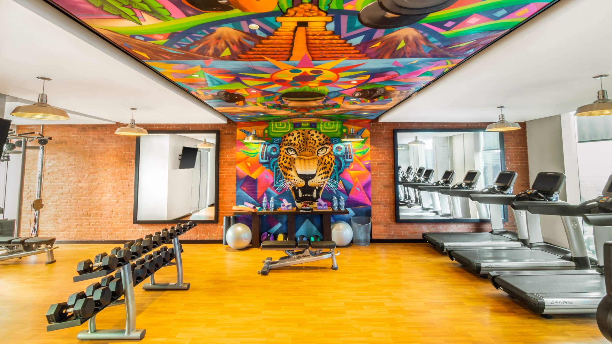 Hyatt Centric Guatemala City Fitness Center