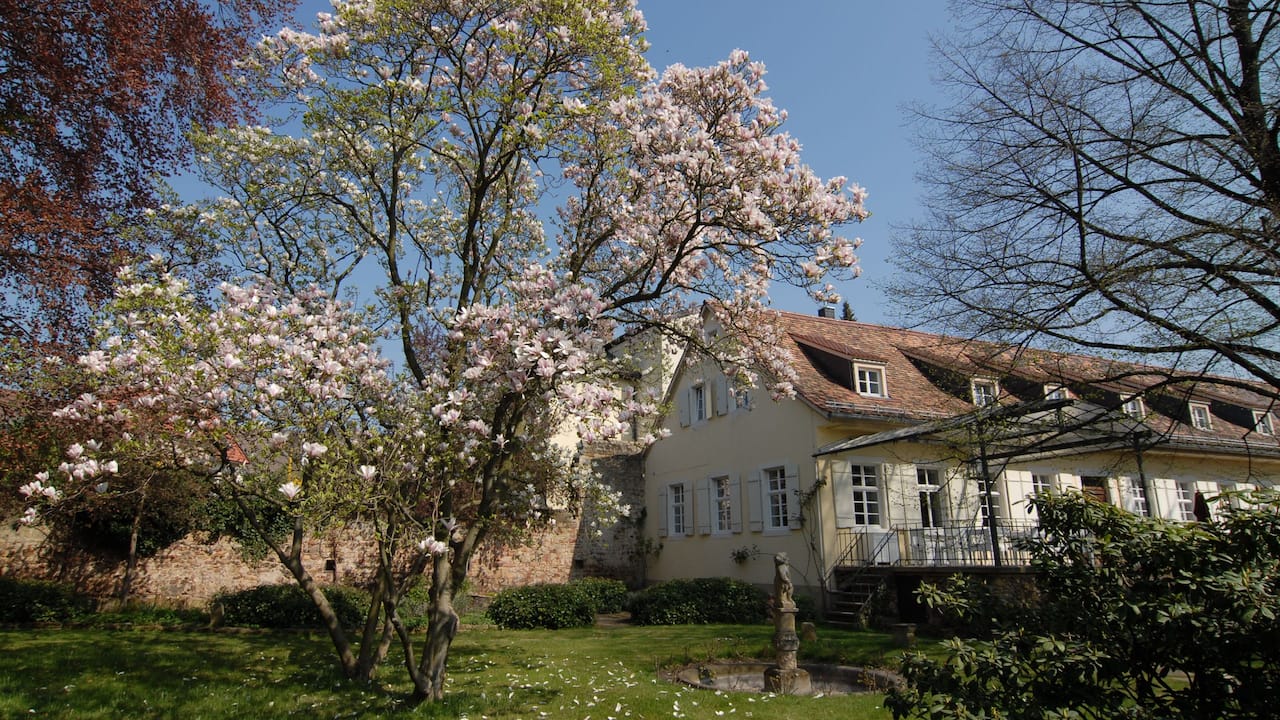 Summer garden
