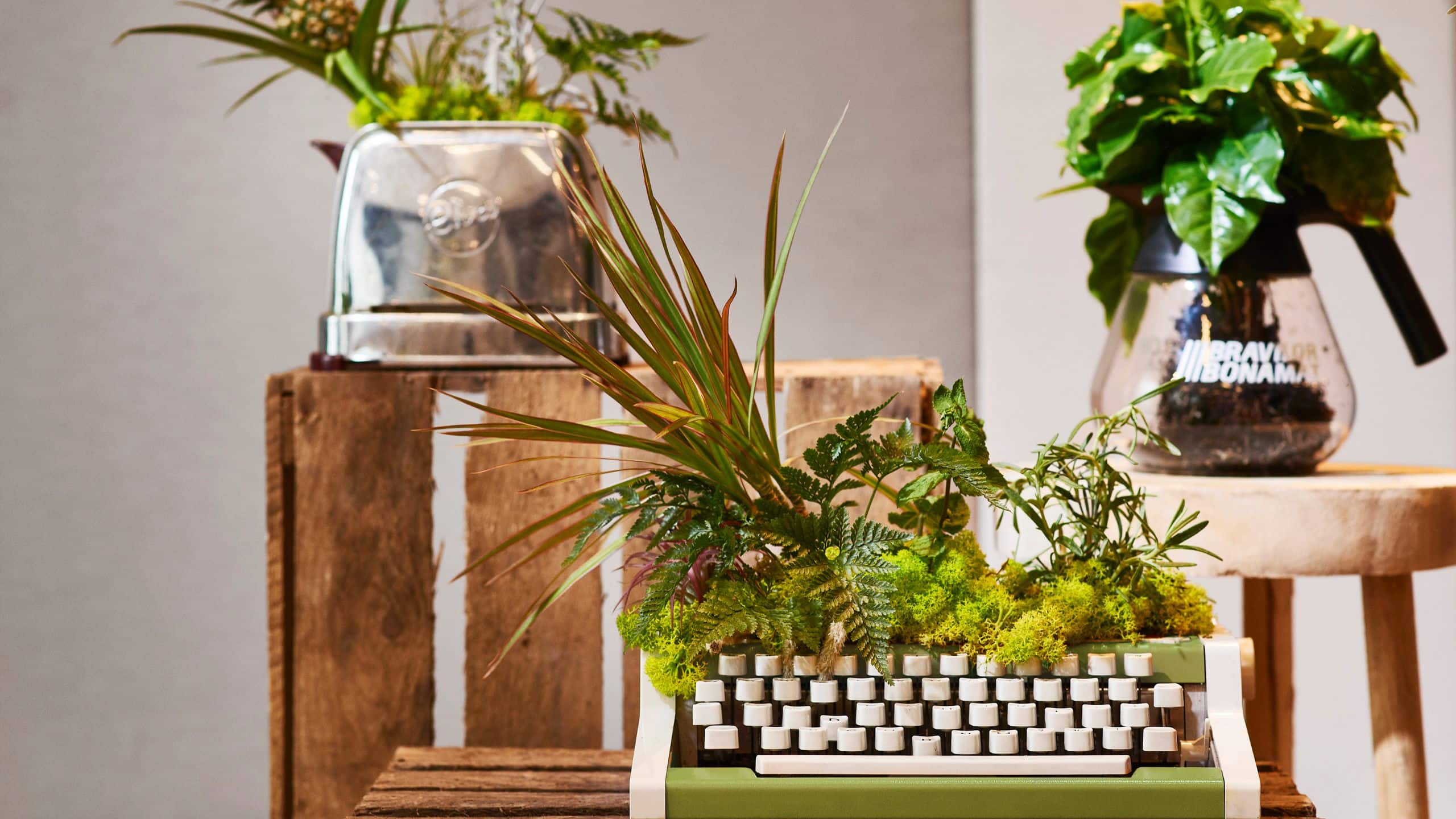 Hyatt Regency Amsterdam Meeting Events Botanical Plants