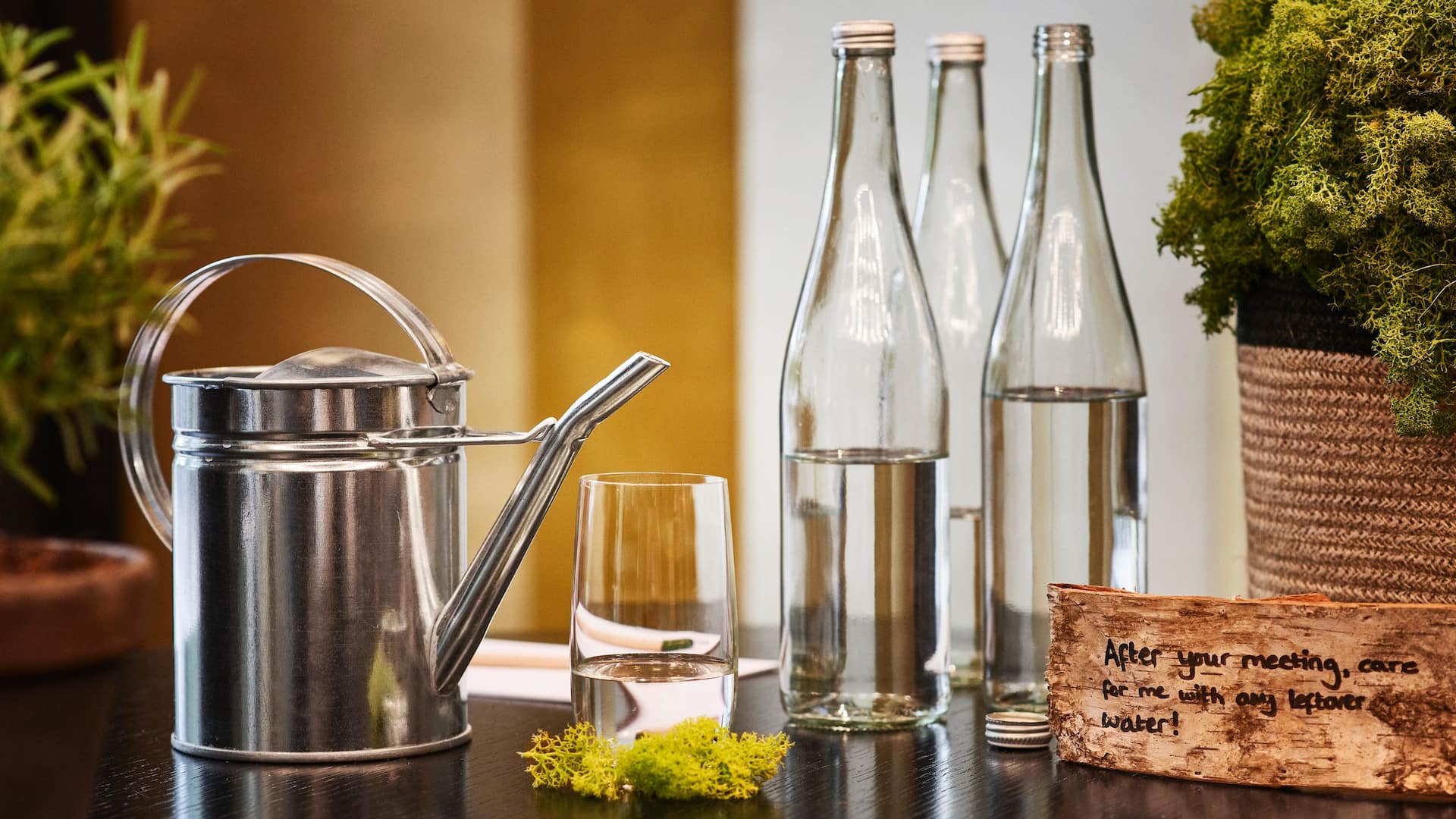 3 of 7 Hyatt Regency Amsterdam Meeting Events Botanical Water