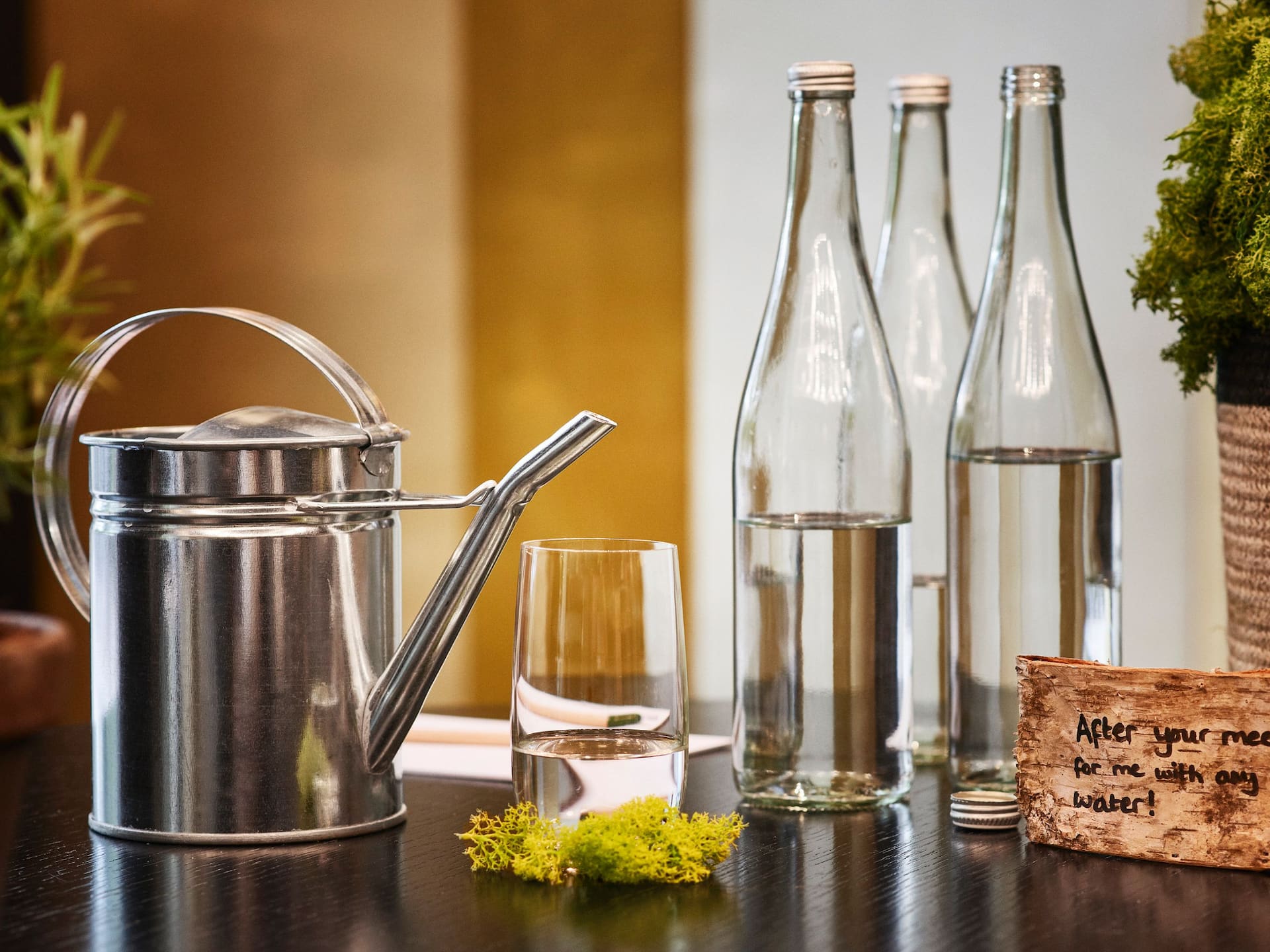 Hyatt Regency Amsterdam Meeting Events Botanical Water