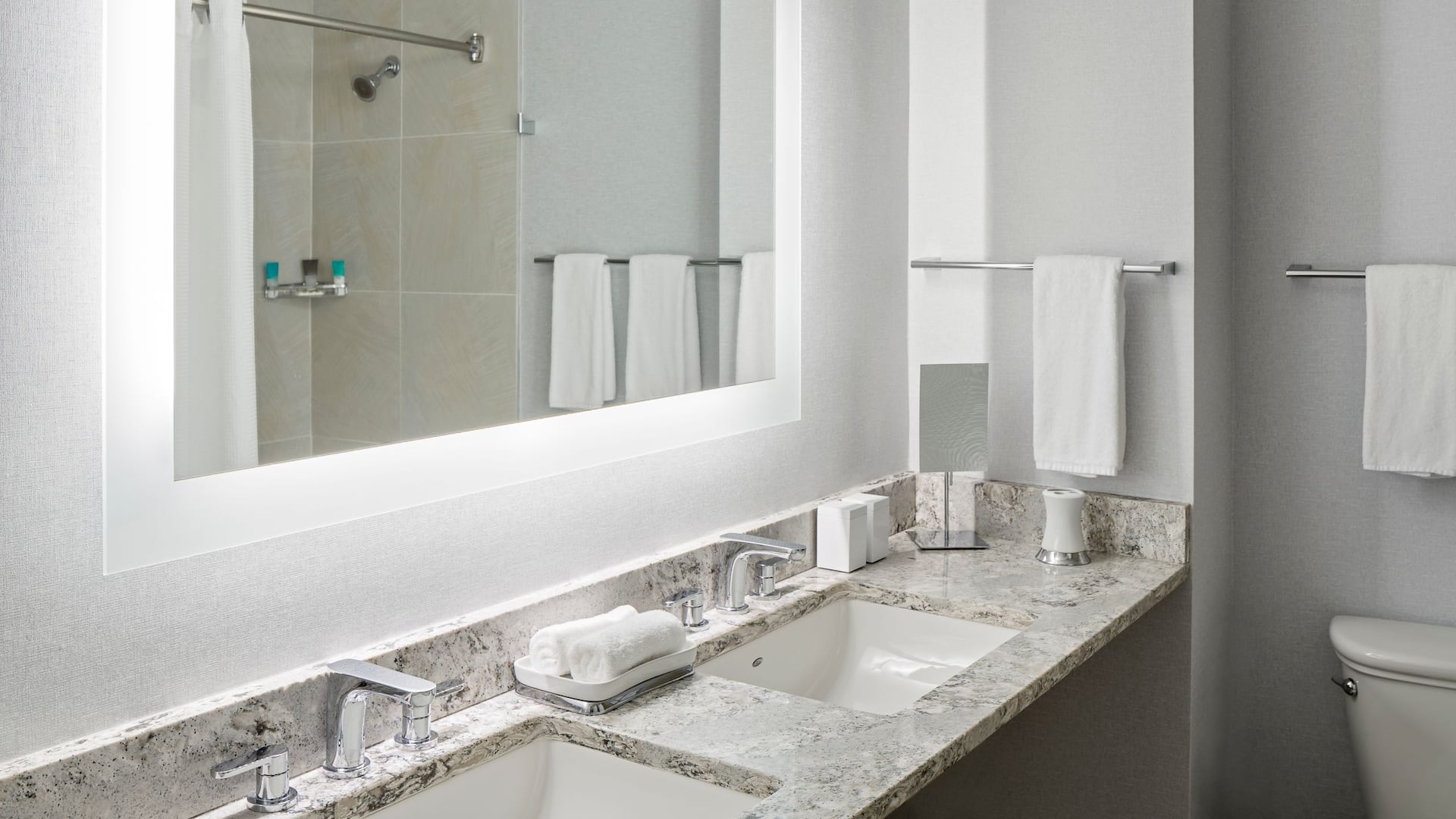5 из 6 Hyatt Regency Greenville Atrium Suite Bathroom
