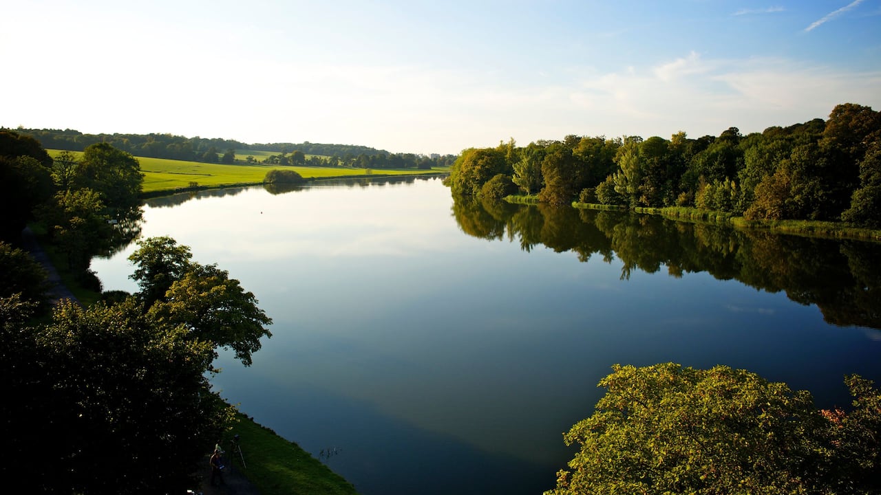 The Lake