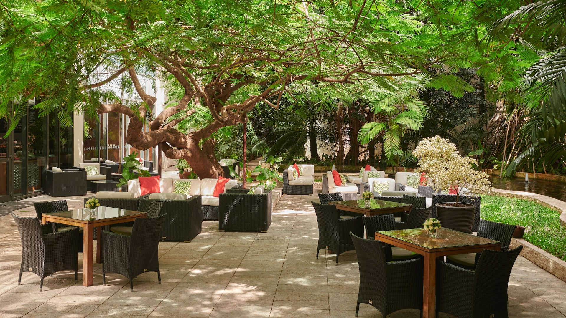 Hyatt Regency Dar es Salaam, The Kilimanjaro Flame Tree Terrace