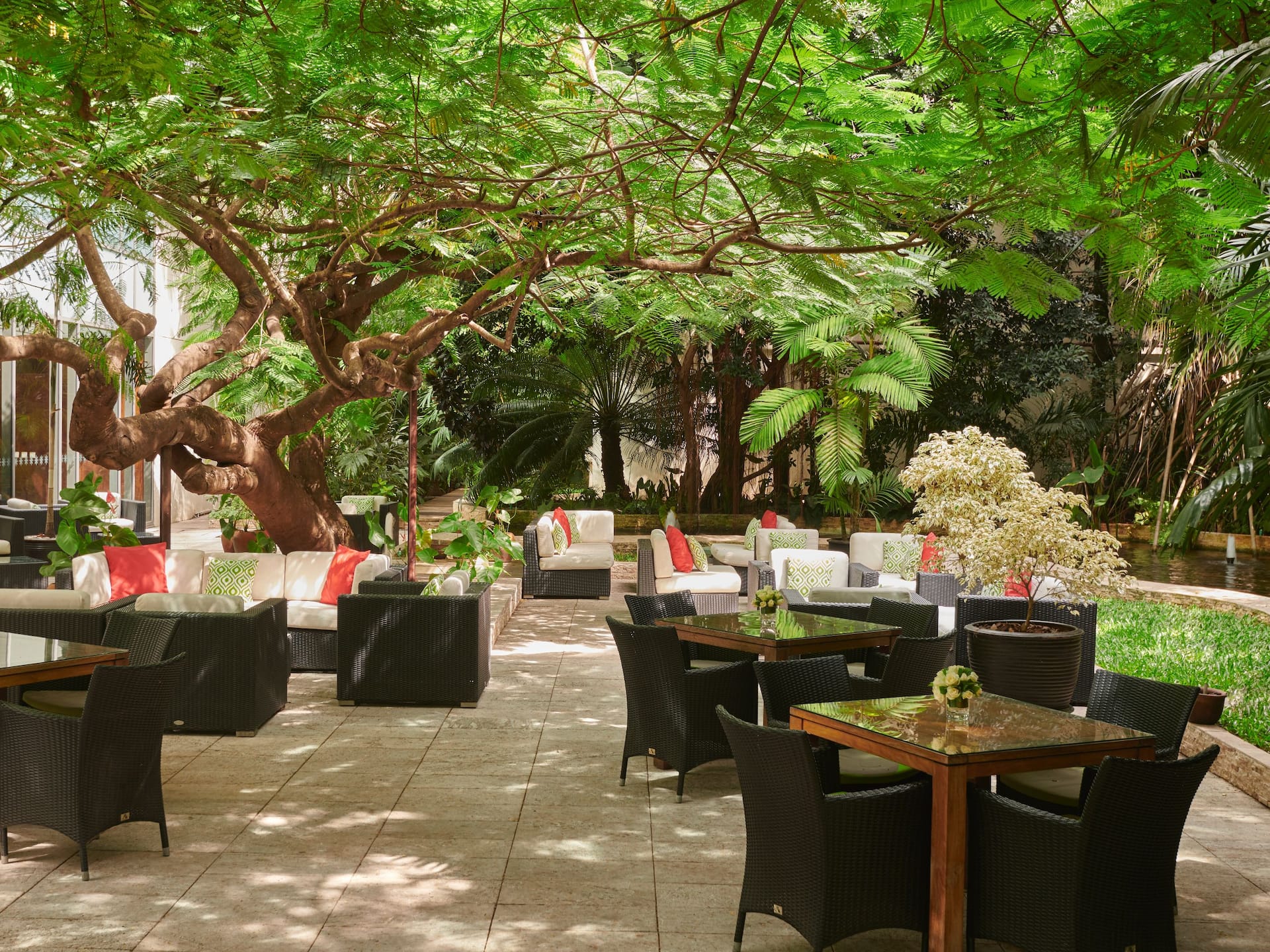 Flame Tree Garden, showcasing lush green trees and a beautifully arranged table setup.