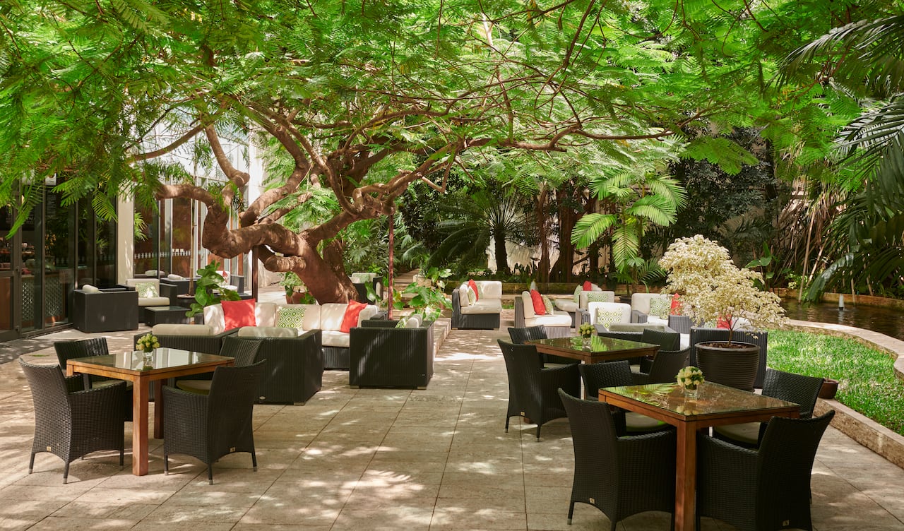Flame Tree Lounge