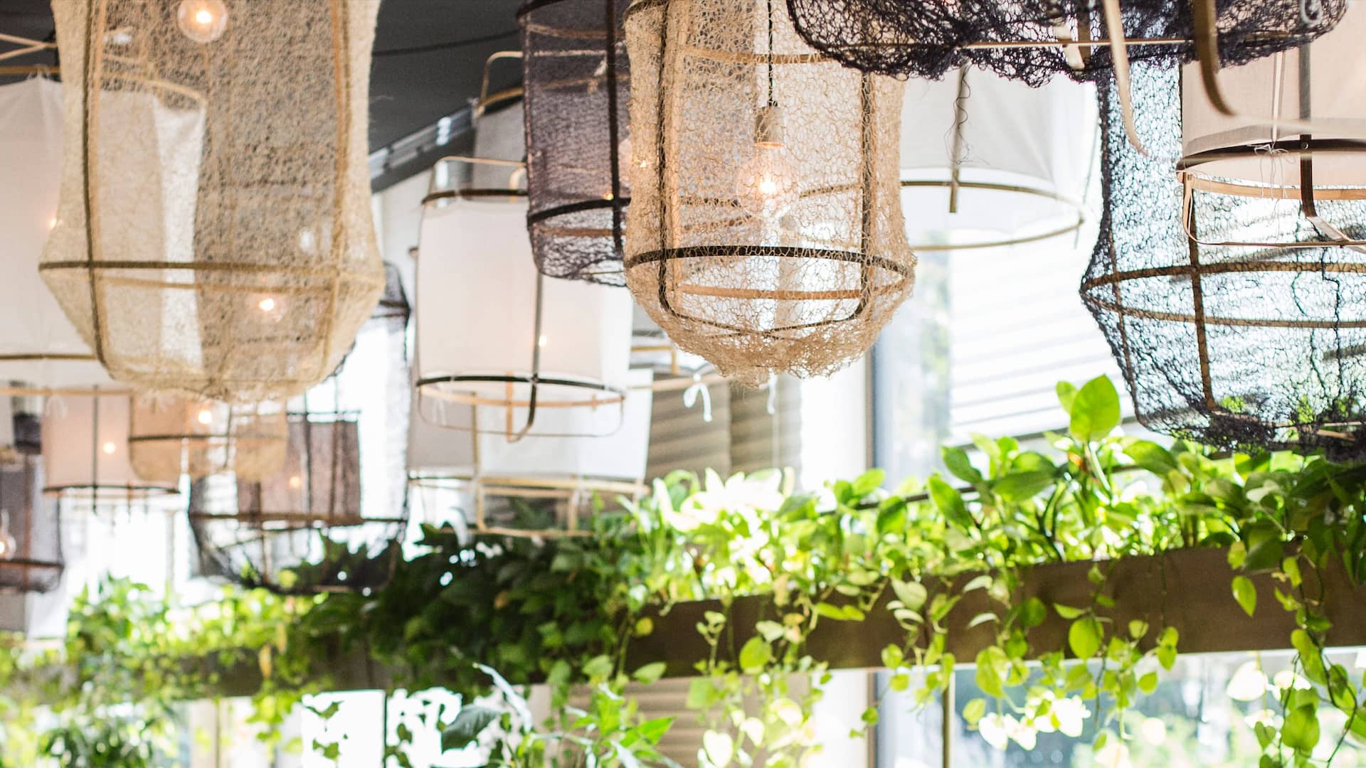 Hyatt Regency Amsterdam Mama Makan Lamps and Plants