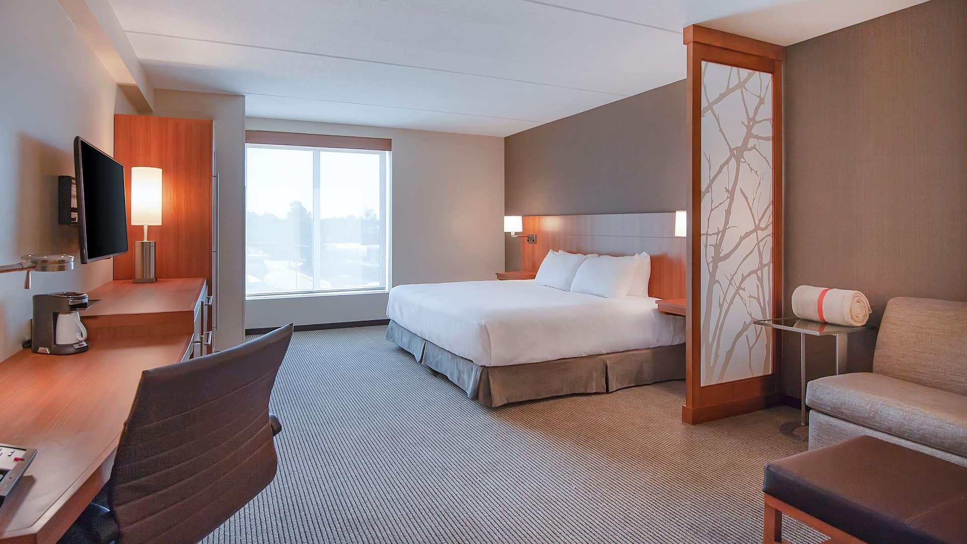 Hyatt Place Durham/Southpoint ADA King
