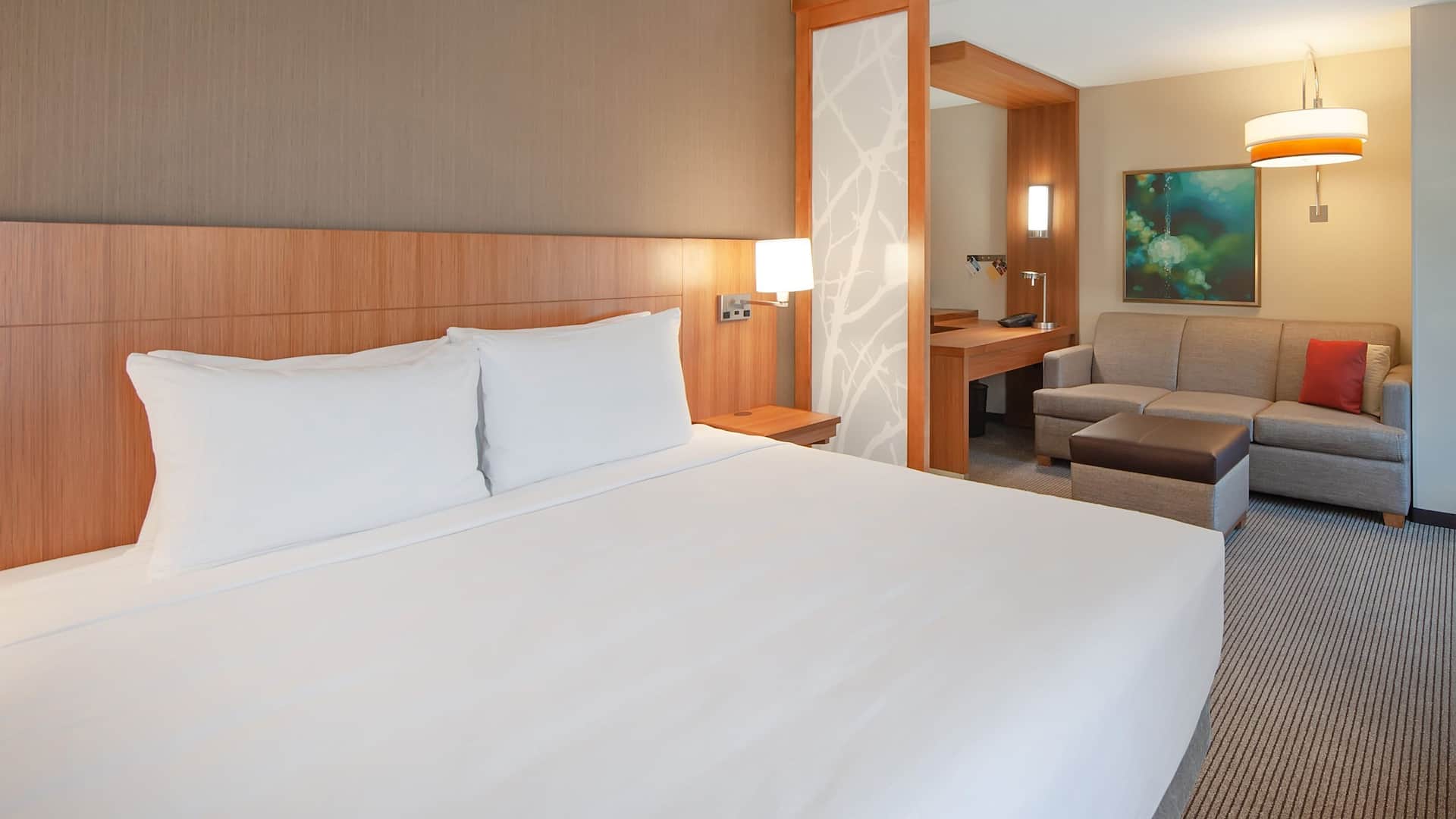 Hyatt Place Durham/Southpoint King