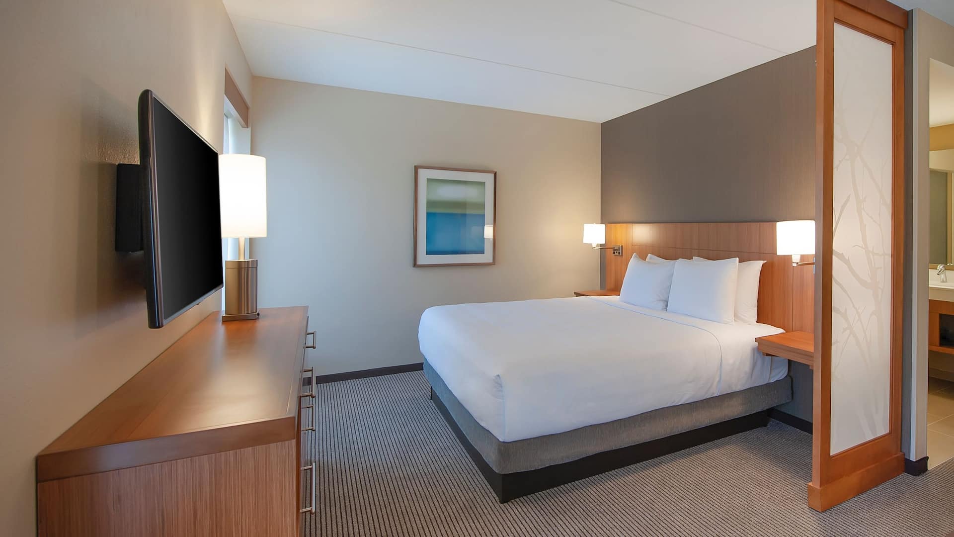 Hyatt Place Durham/Southpoint King