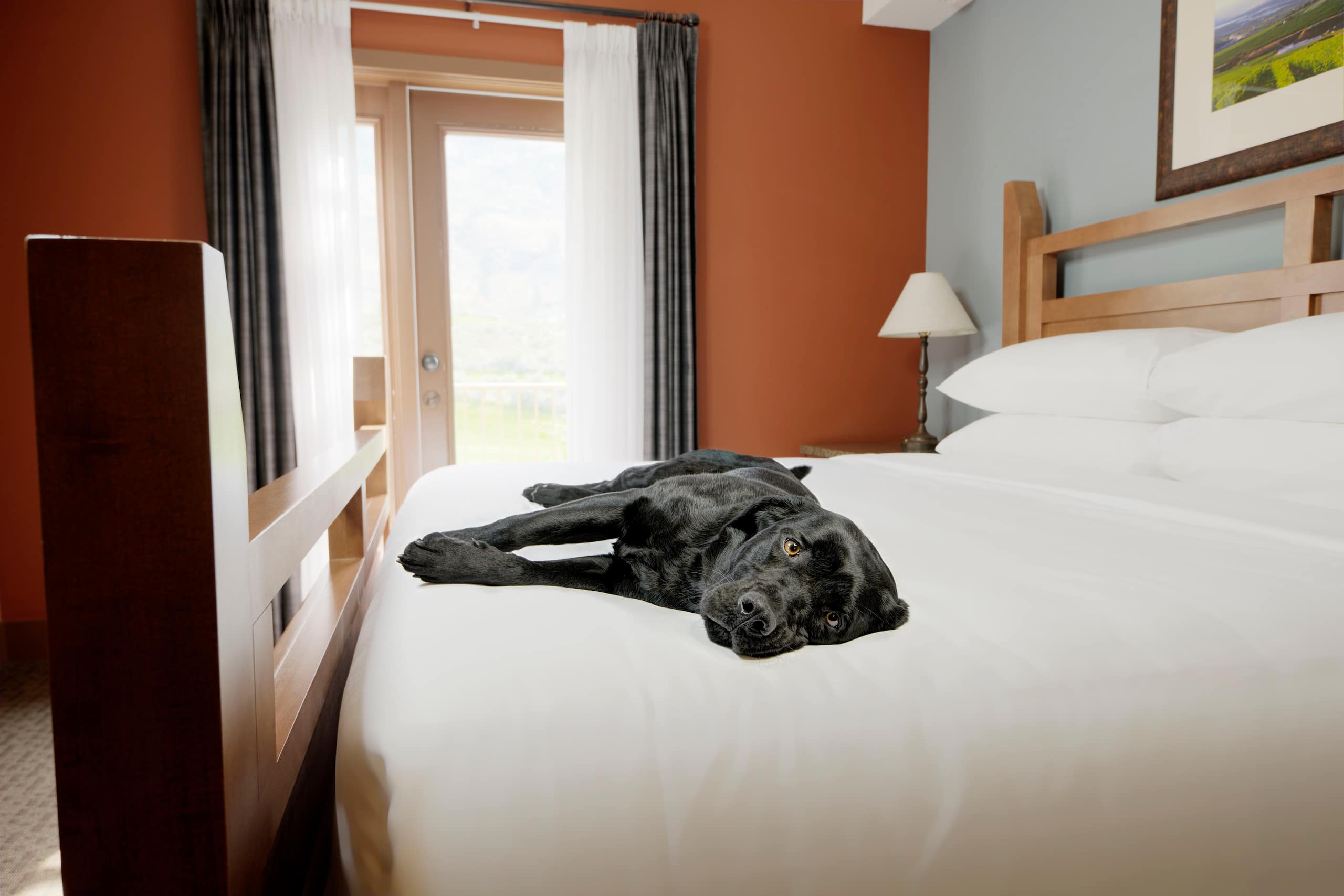 Osoyoos Hotel Near Nk Mip Desert Cultural Centre Spirit Ridge