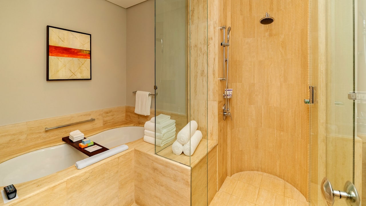 Diplomatic Suite bathroom with soaking tub and walk-in shower