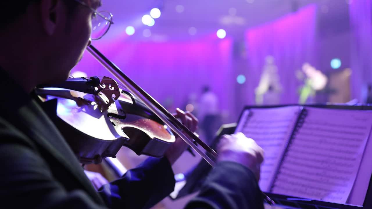 Violinist