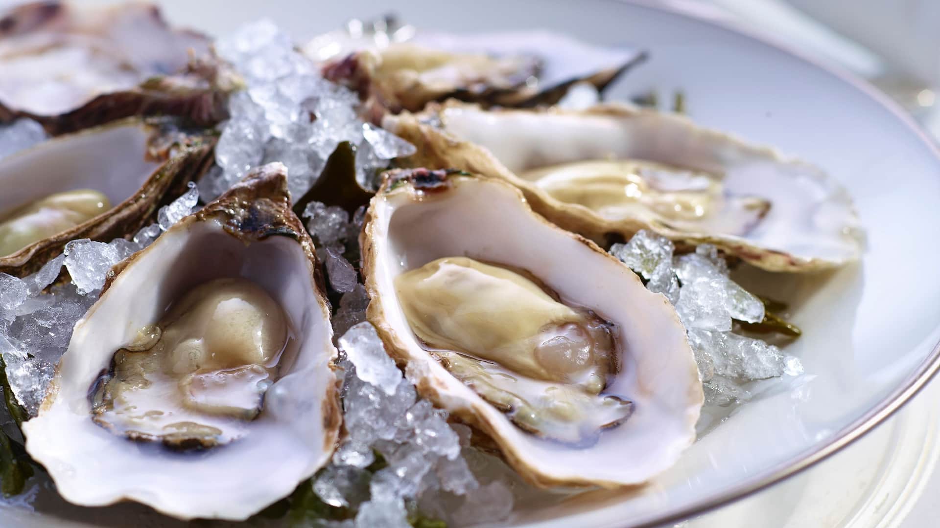 Hyatt Regency Hong Kong, Tsim Sha Tsui Hugos Seasonal Oysters