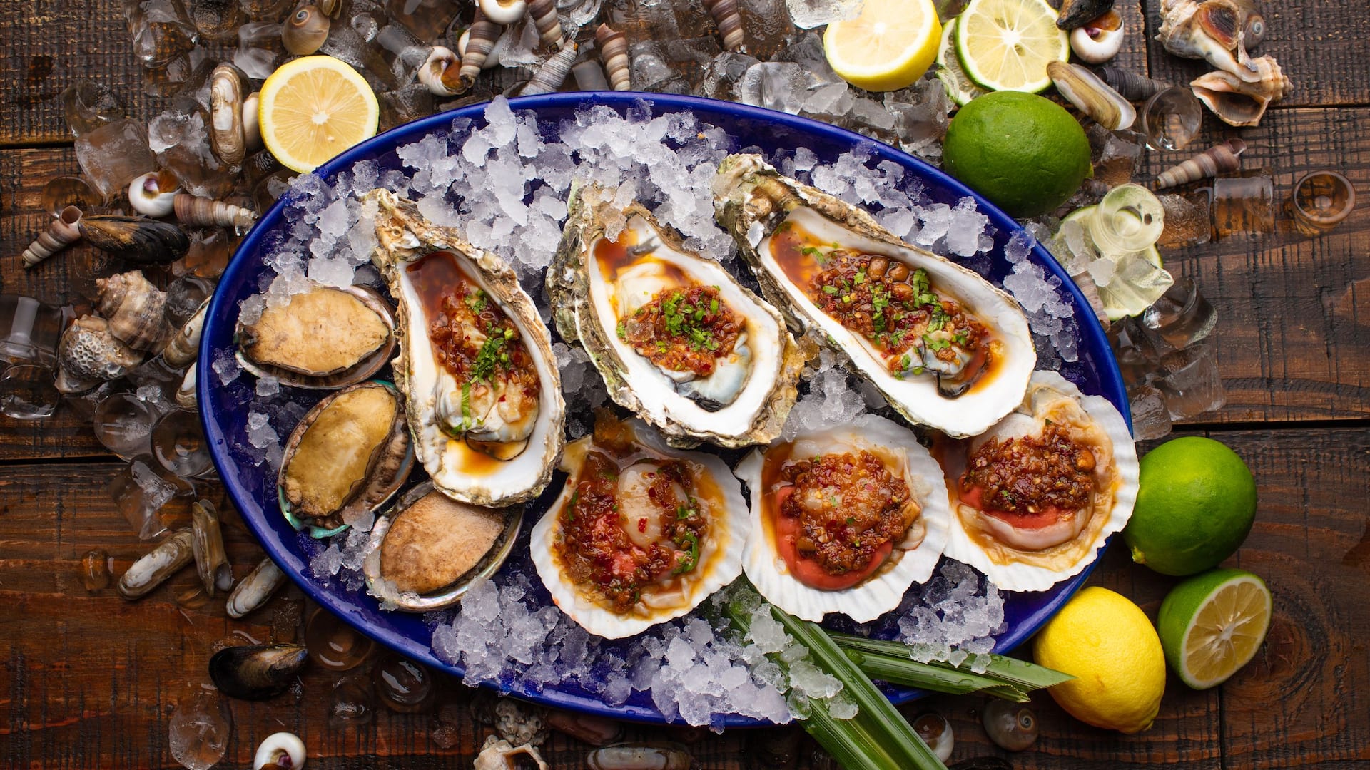Hyatt Regency Qingdao BEBA Molluscs