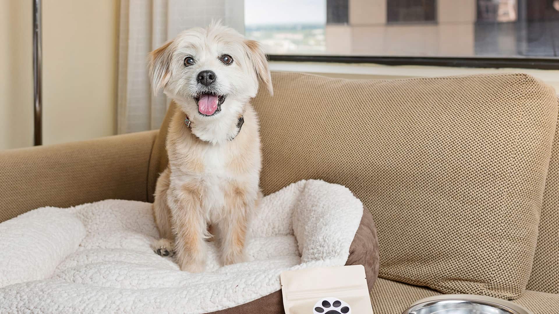 Hyatt Regency Houston Pet Amenities